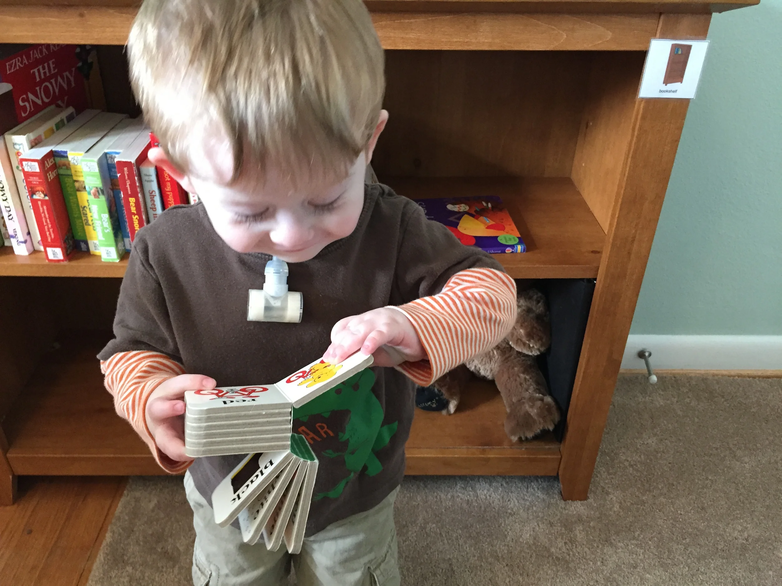 Augmented Communication Part 4: Forty-One Words!