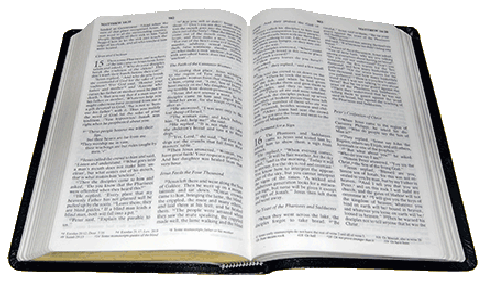 Guest Blog: Getting Started 