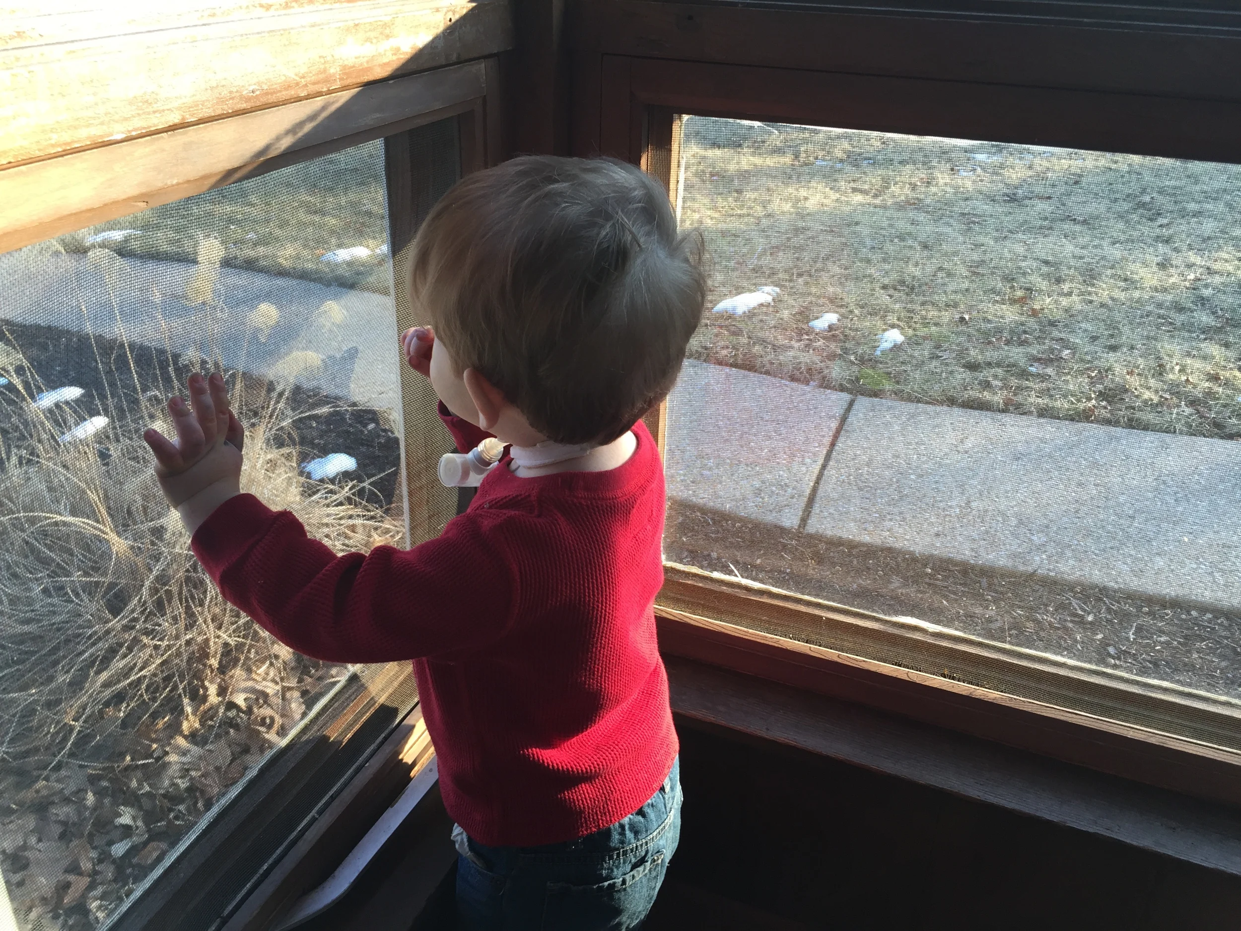 The Welcome Home Embrace