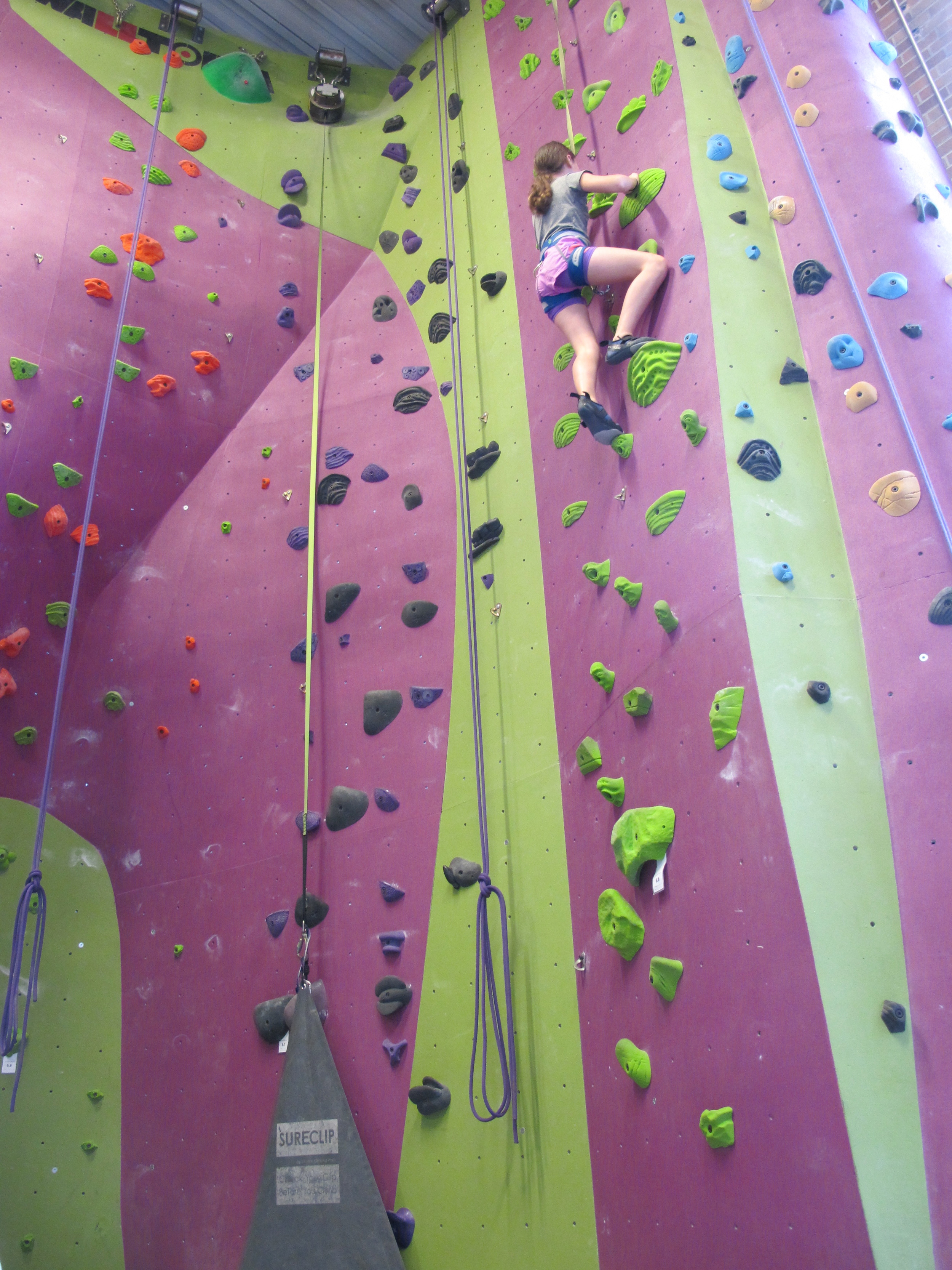 Climbing Gym Wall