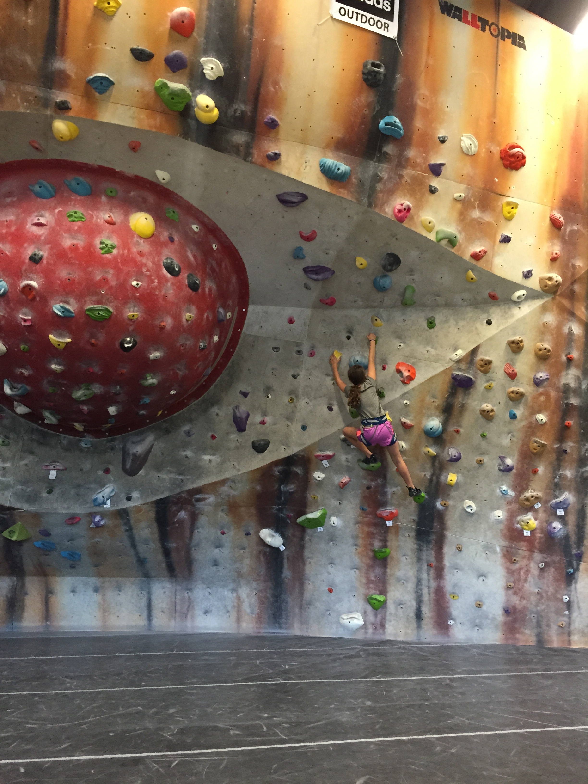 Boldering Wall (No Ropes!)
