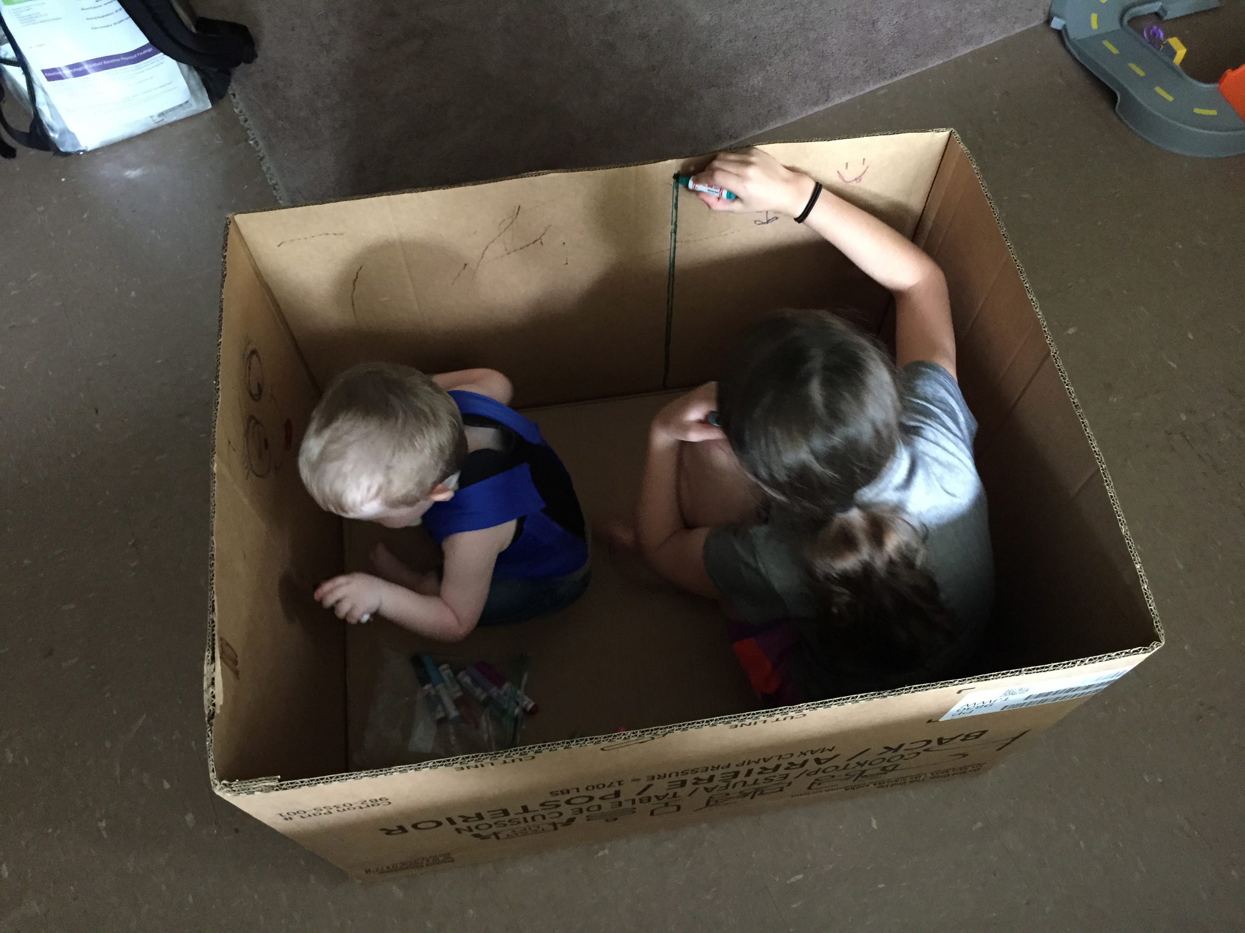 Cardboard box. Can't get more fun!