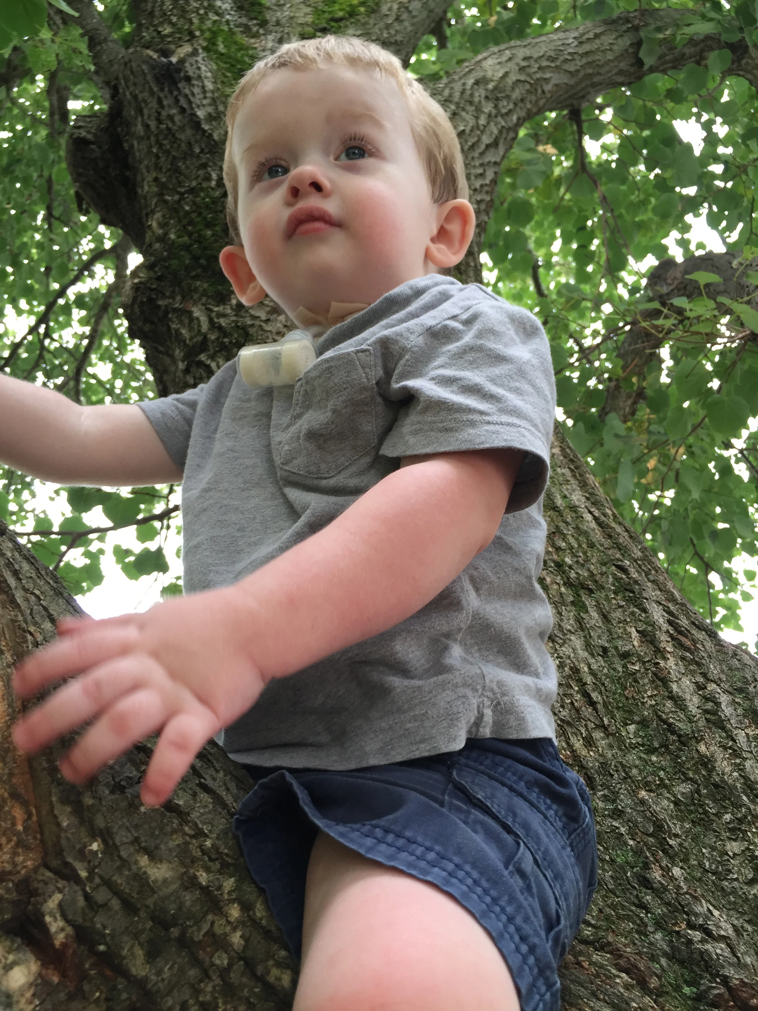 Two Years of Knowing Nathaniel