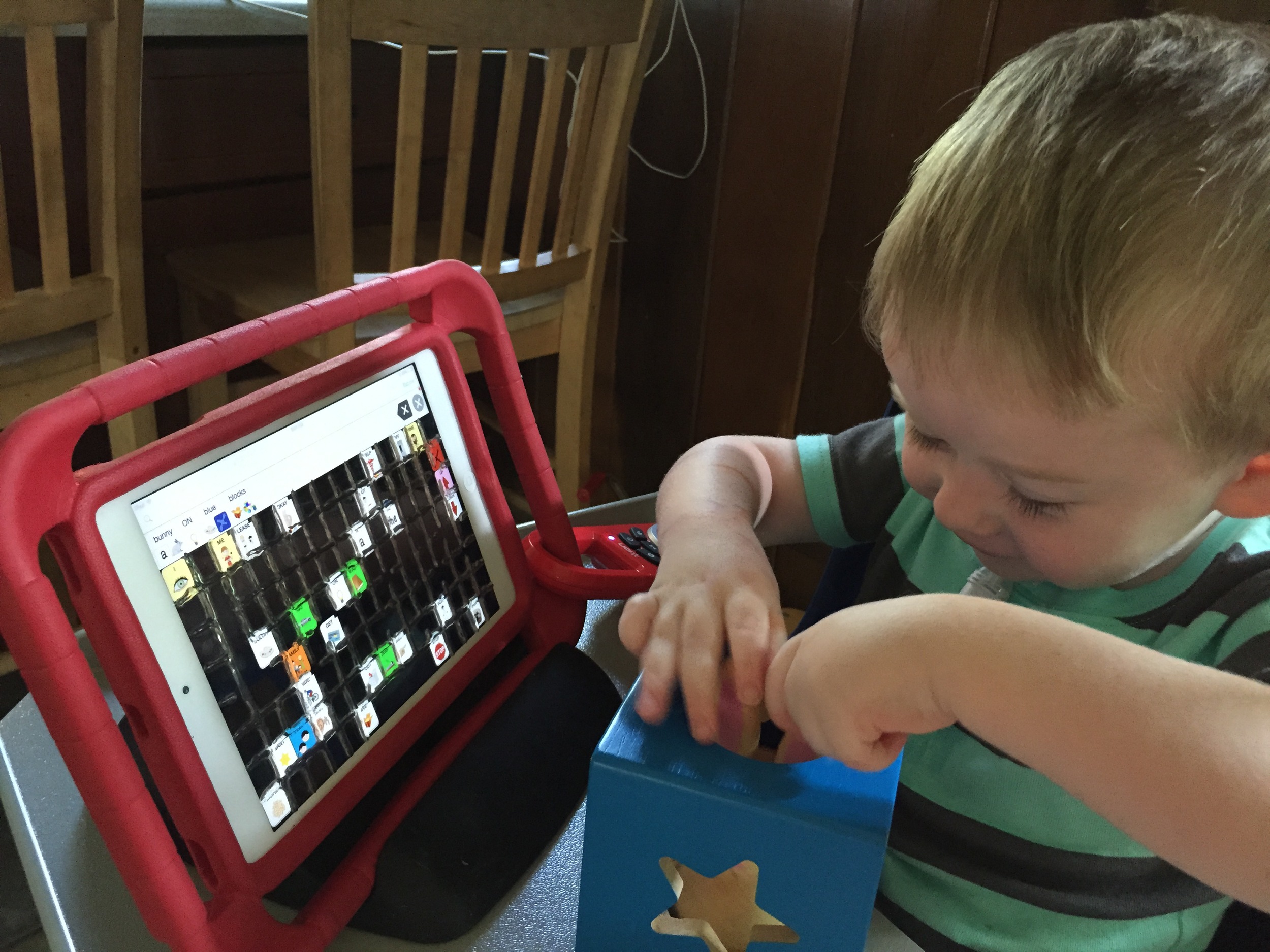 Working on prepositions ON, OFF, IN and OUT using Nathaniel's talker and the toy Bunny Peek-a-Boo