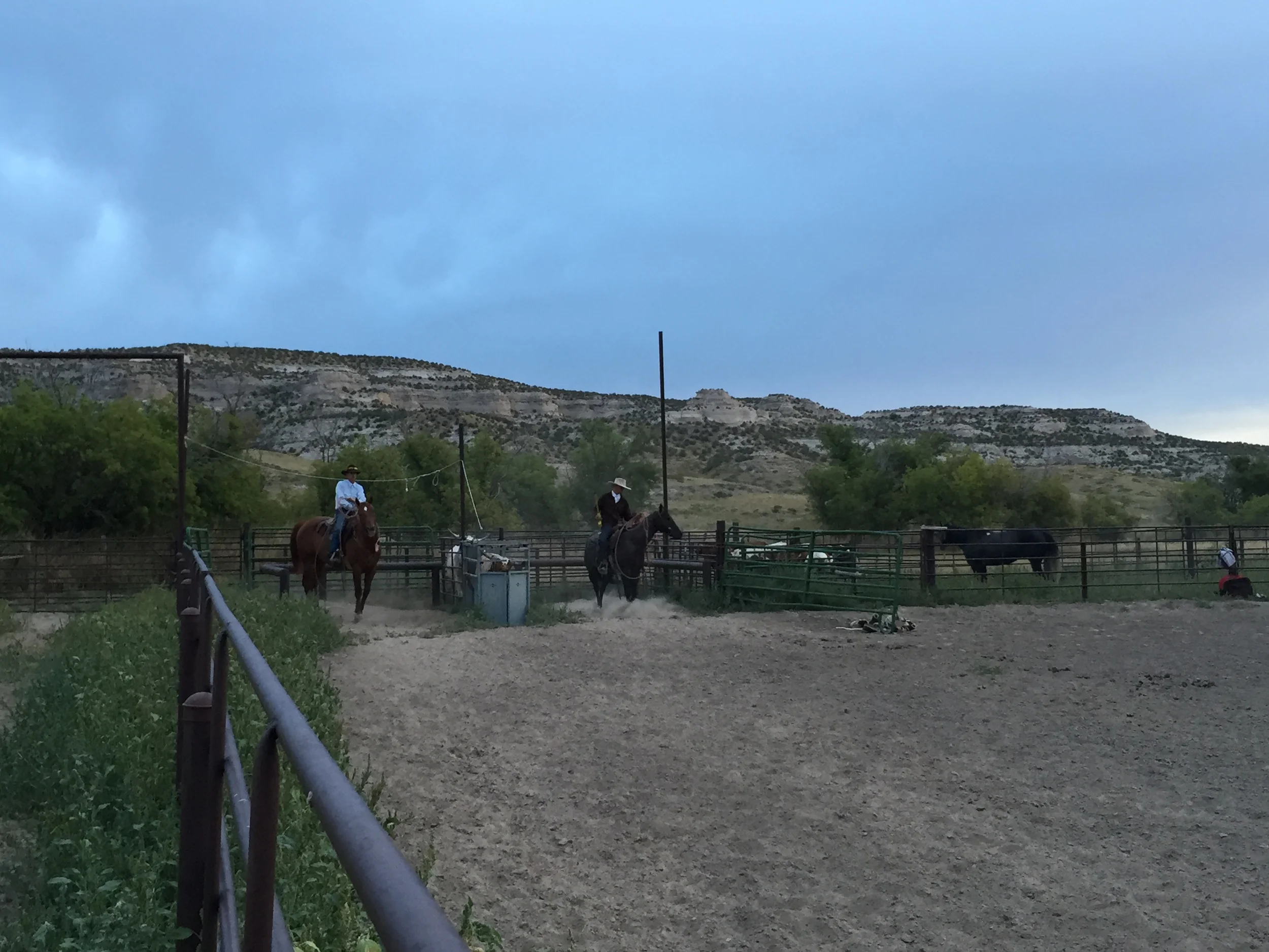 My Cowboy Life: Day Two