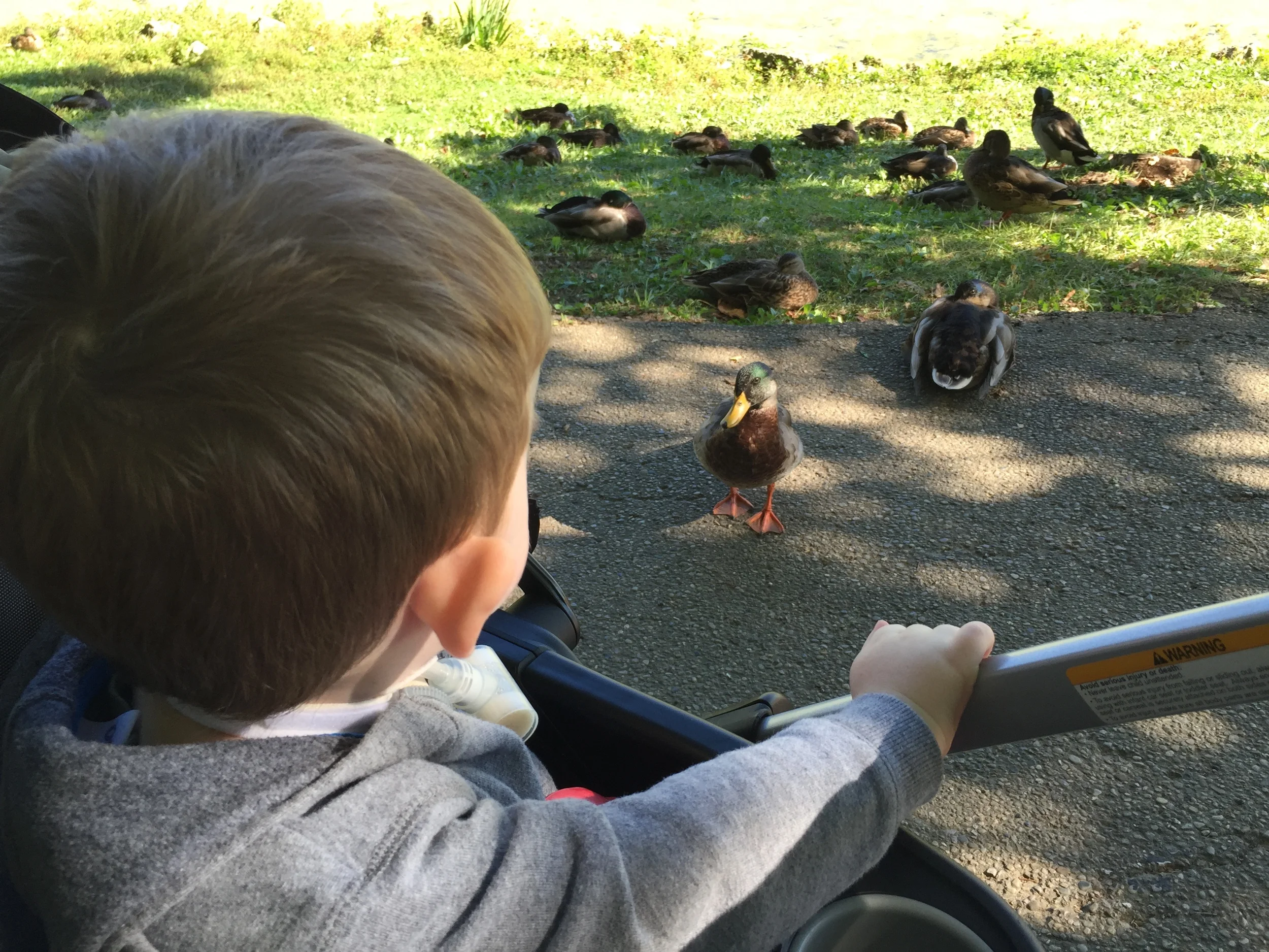 September Cincinnati Trip - Day 4