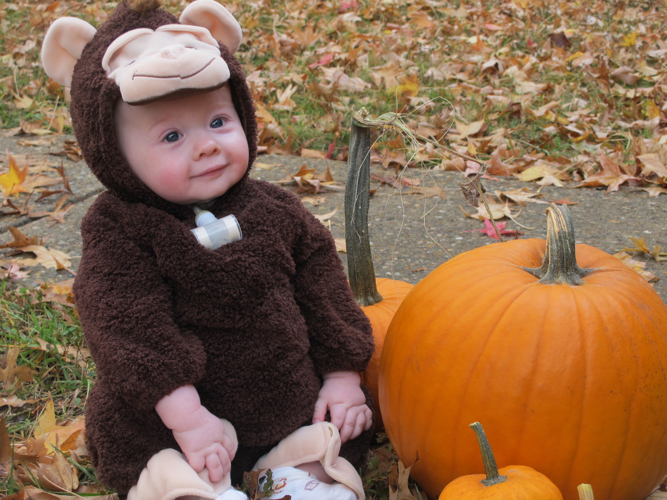 Halloween 2013