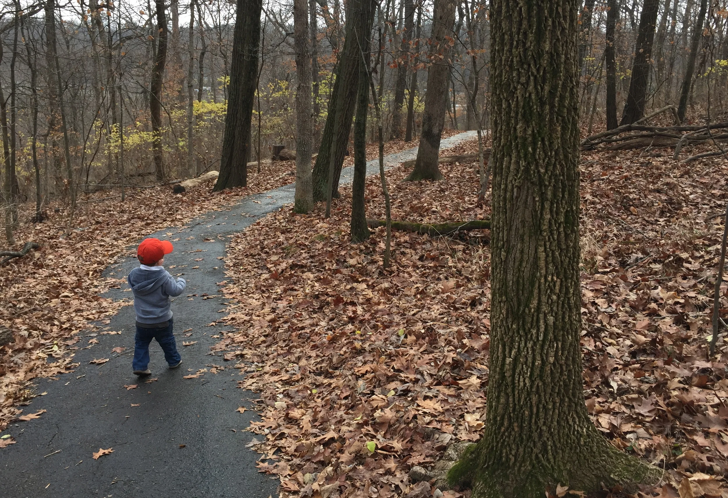 An Index to Posts on Nathaniel