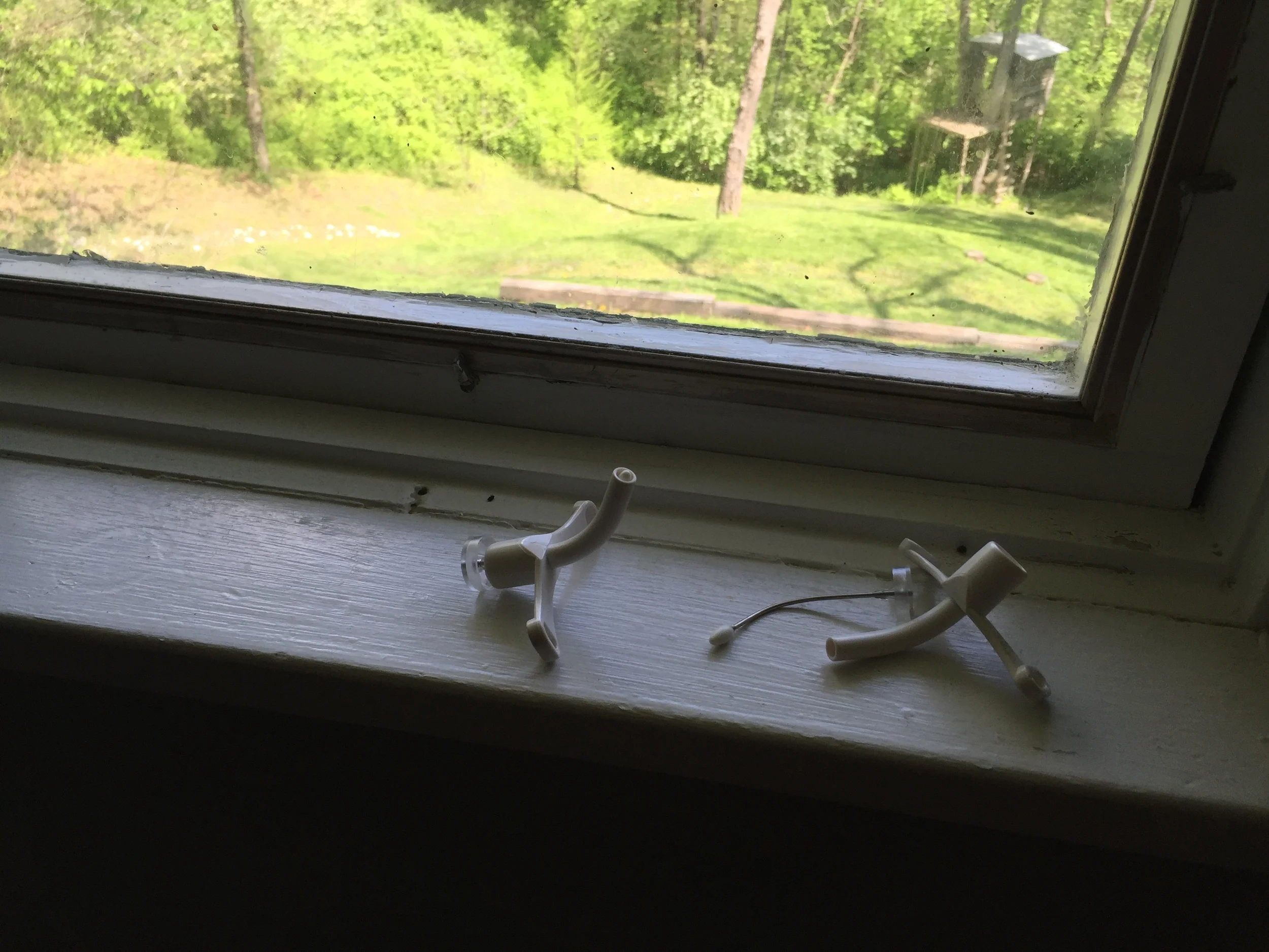 The Trachs on My Windowsill, Hospitalization, and Lemonade