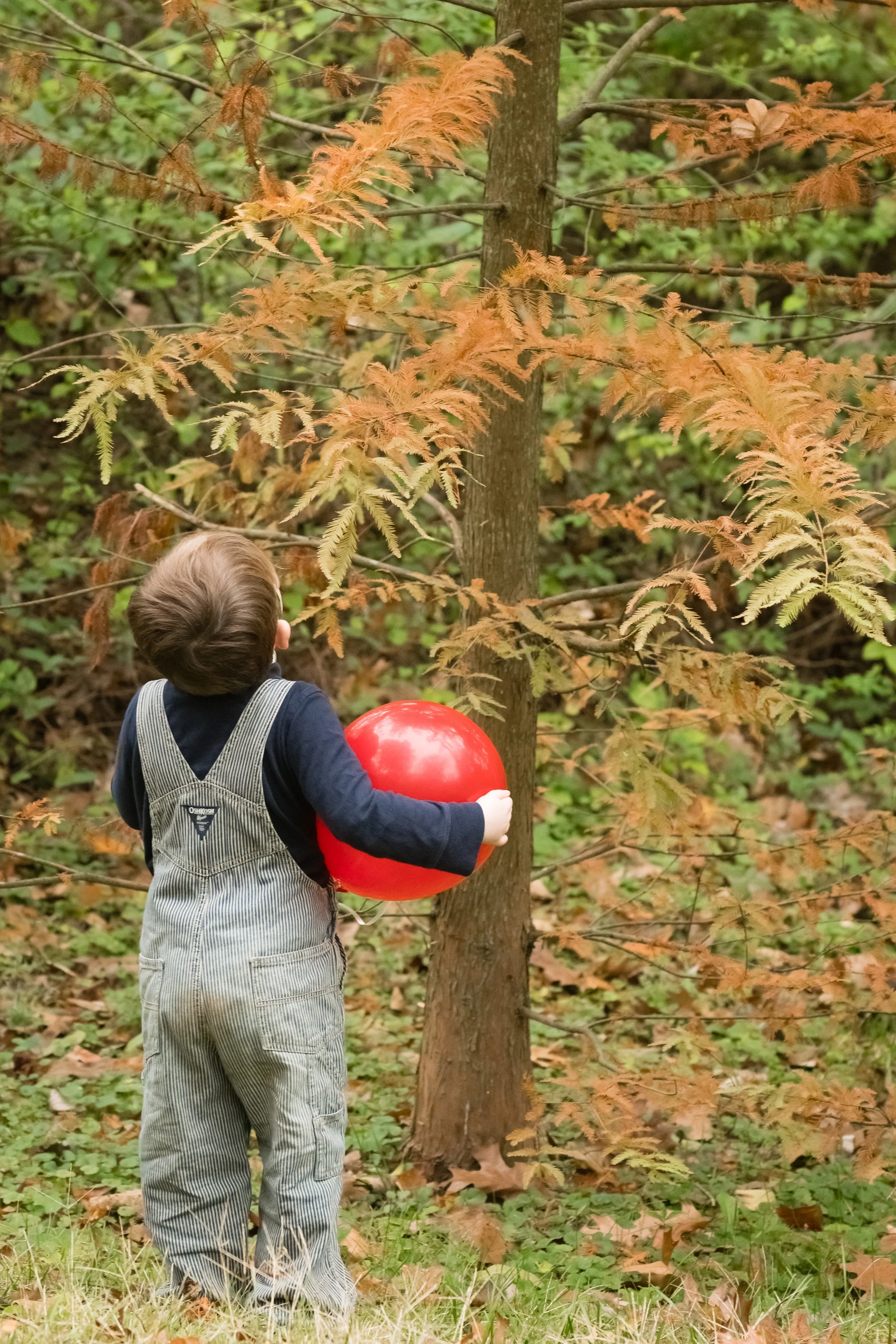 JCR_5120.jpg