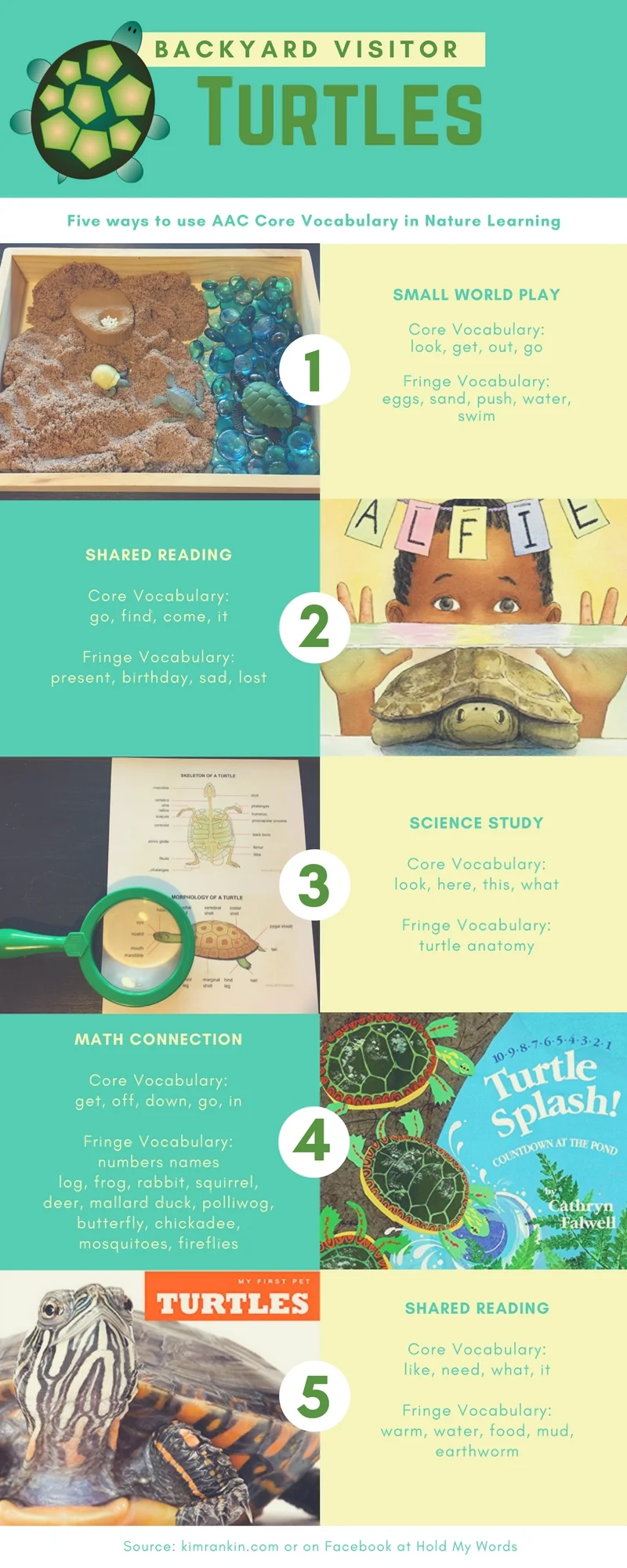 AAC Vocabulary in Nature Learning: Turtles — Kim Rankin