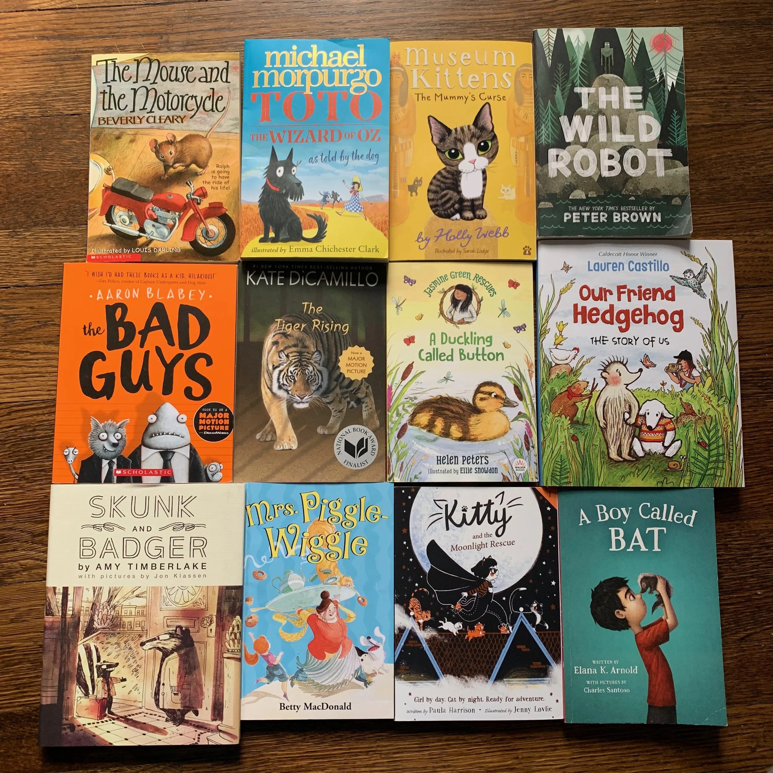 Chapter Books We Read Aloud 
