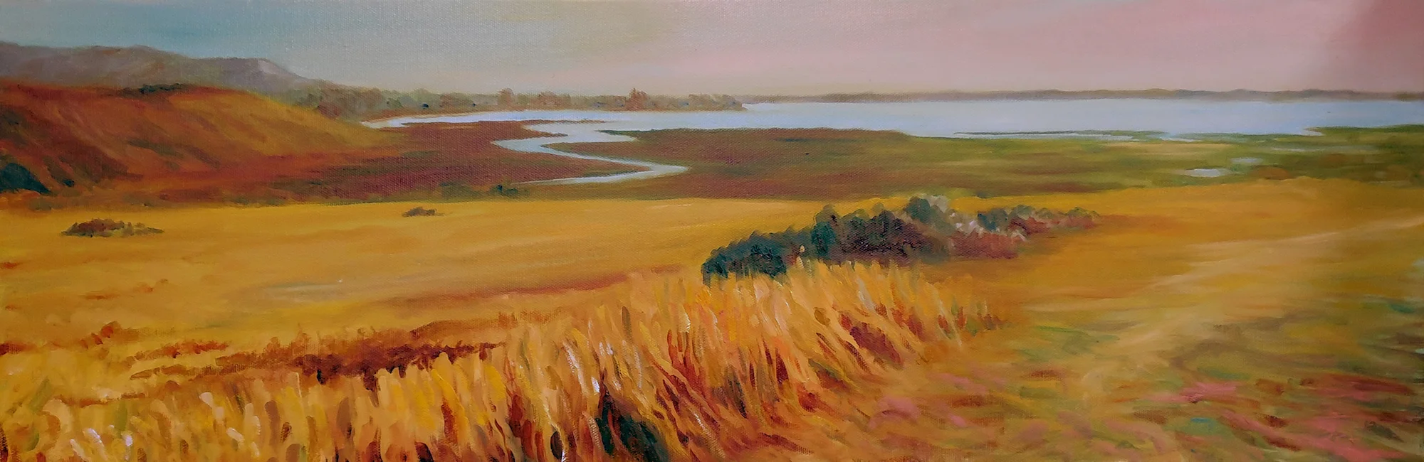 backbay.jpg