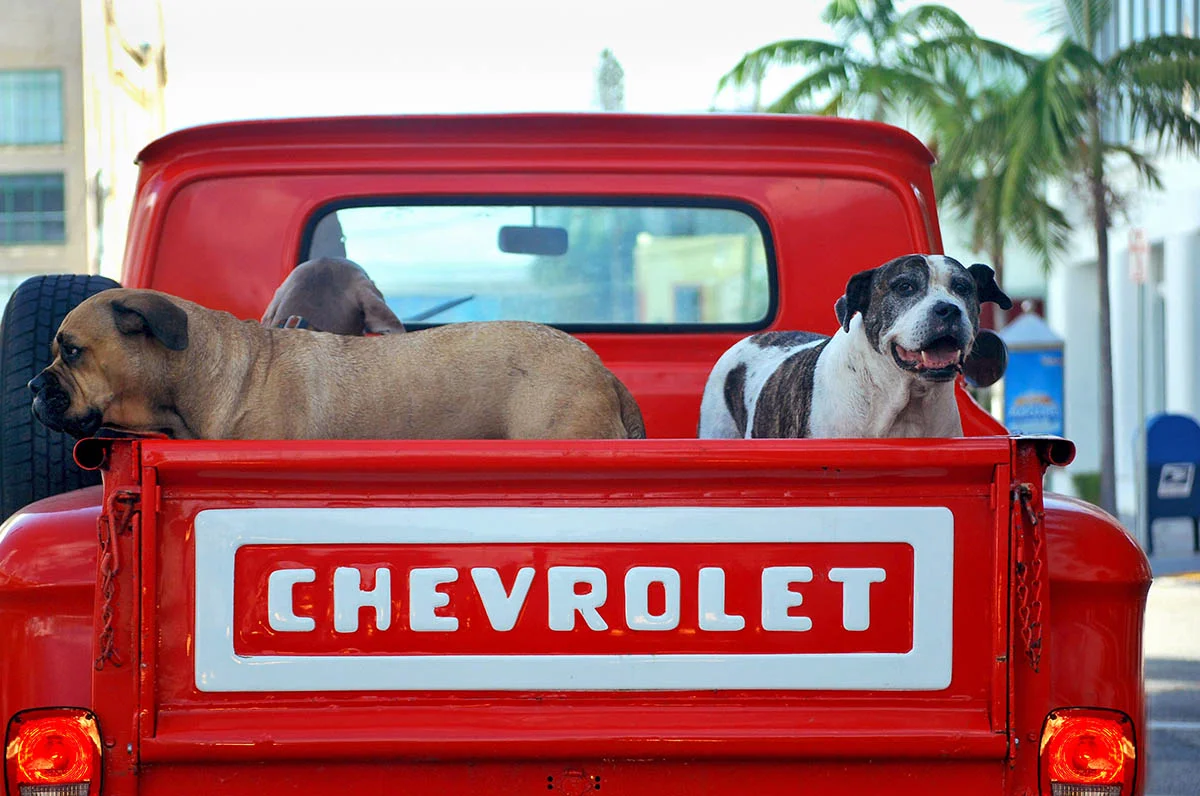 Chevrolet.jpg