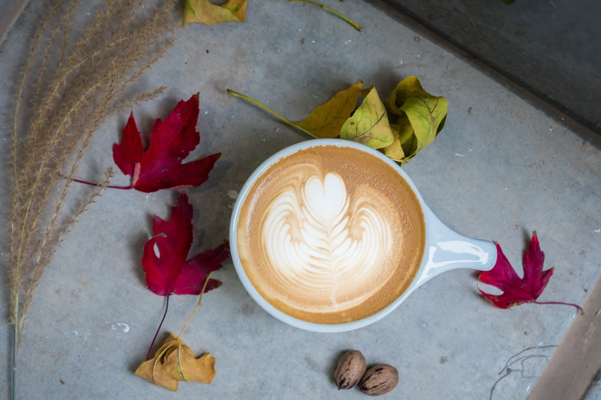 Fall-Latte.jpg