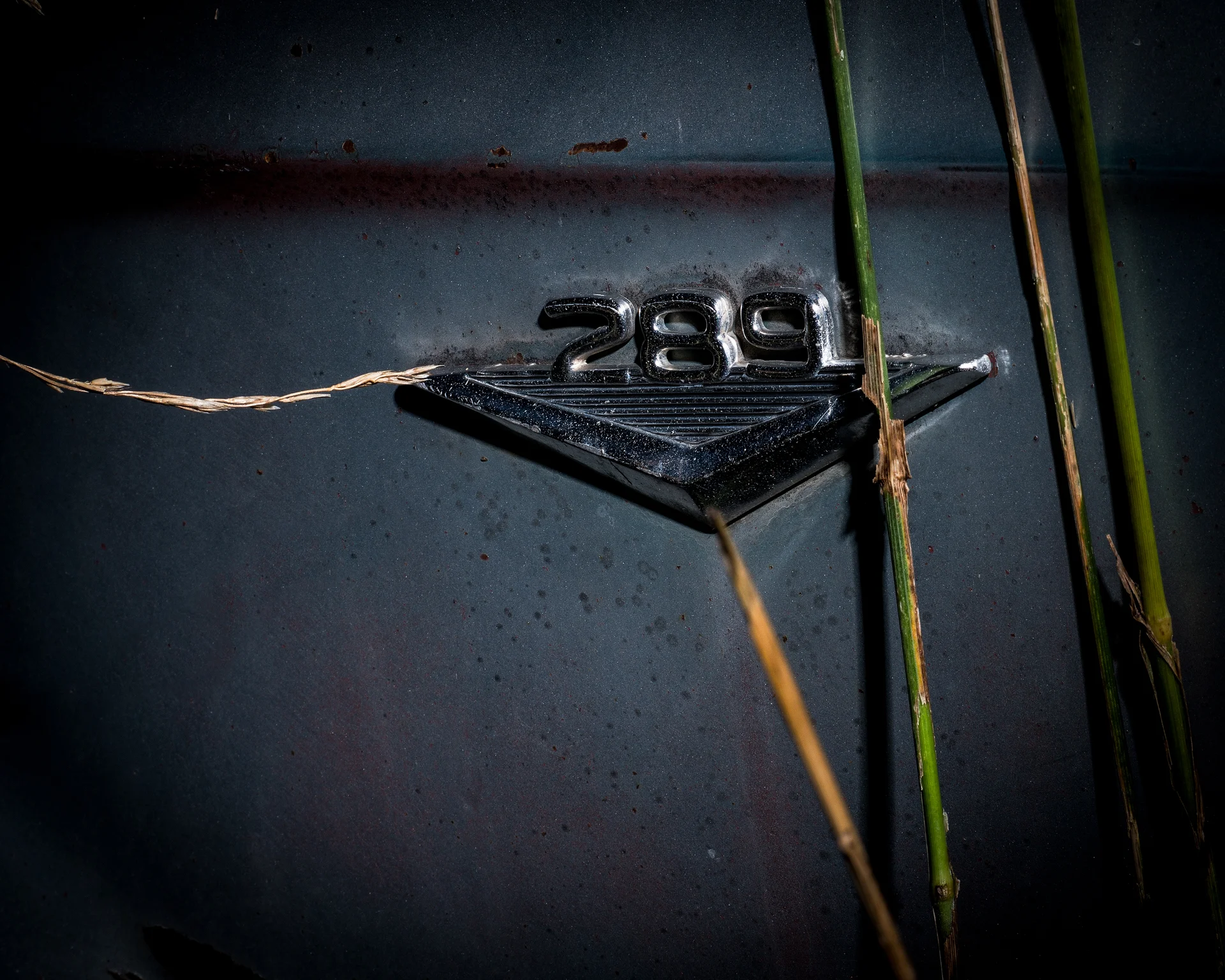 1966 Ford Mustang #2