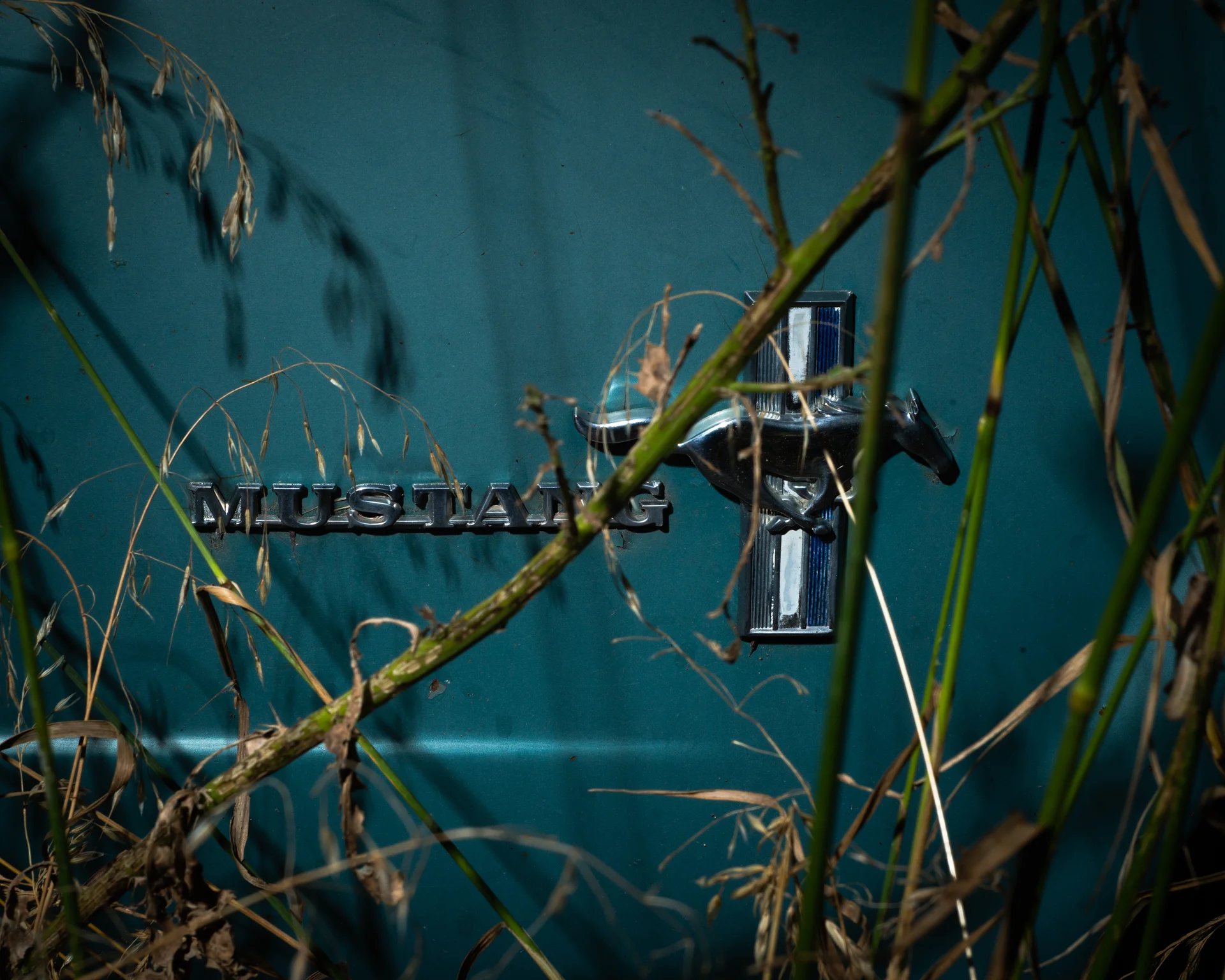 1966 Ford Mustang #3