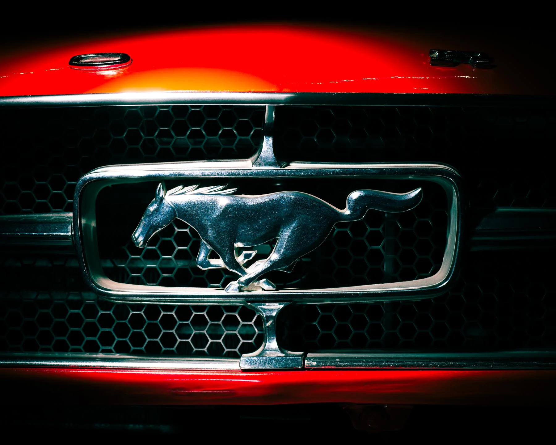 1965 Ford Mustang #1