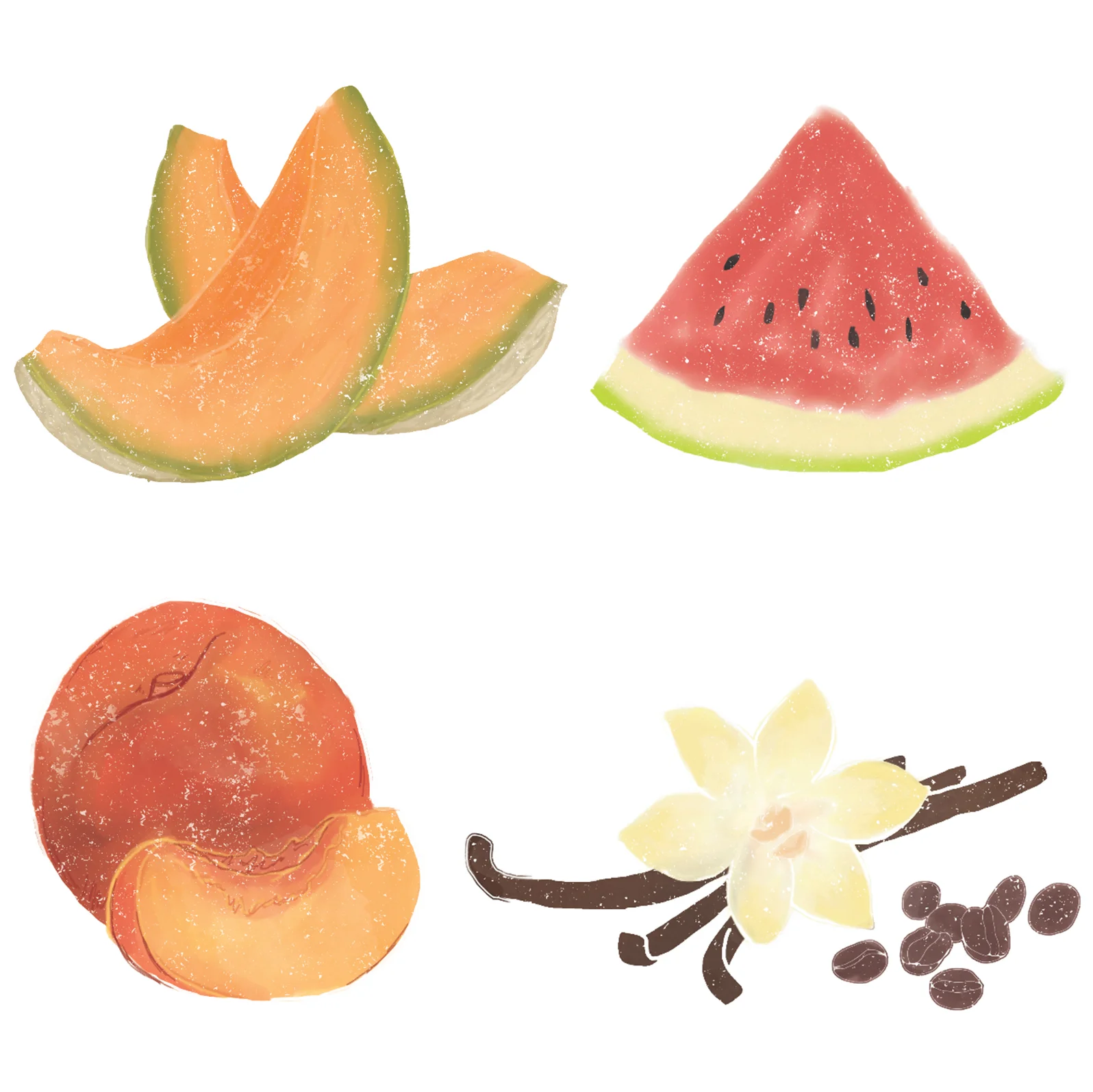 illustrations.jpg