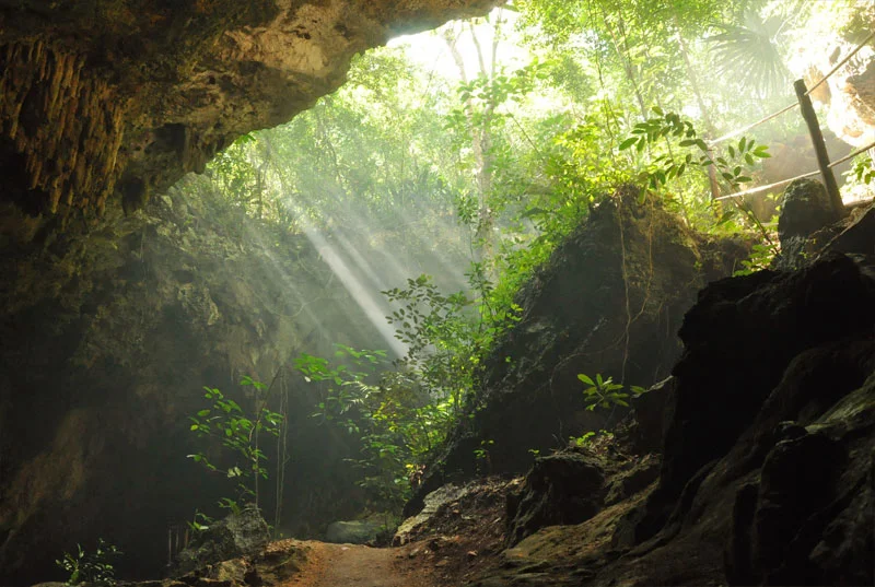jungla_maya-big-1.jpg