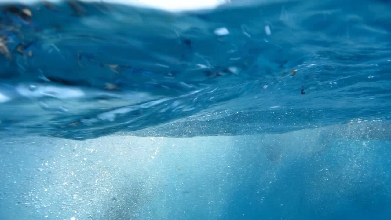 Tara Kelly 6jan.Still002.jpg