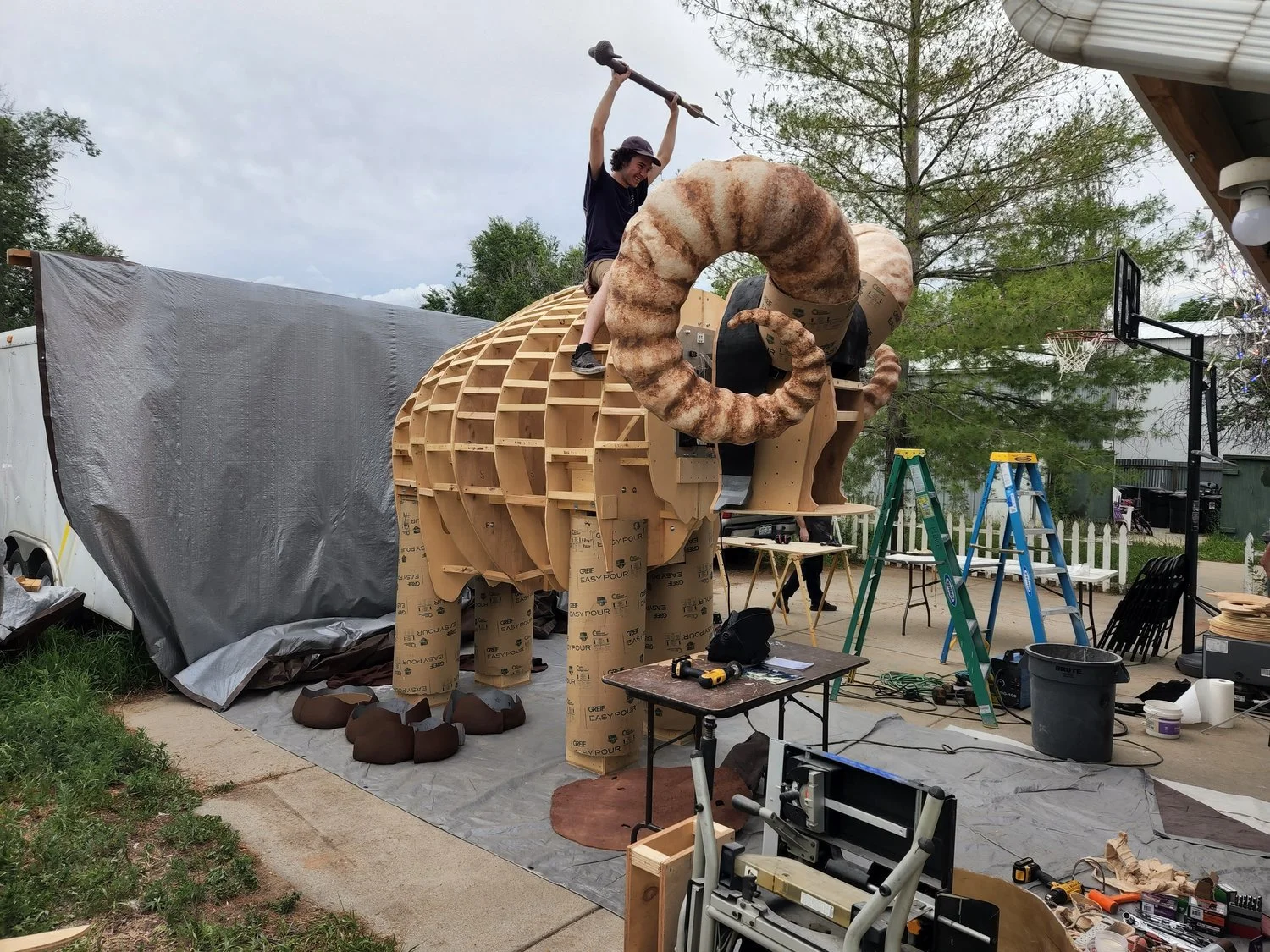 FAC_Bantha_Project_134.jpg