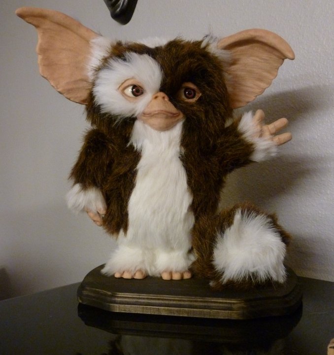 Gizmo_01.jpeg