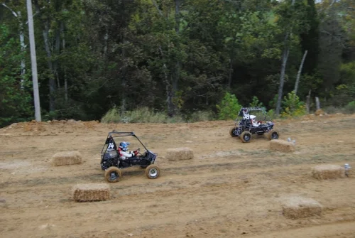 On your marks, get set, go! Elbows (38) in the lead with Knuckles (14) following behind.