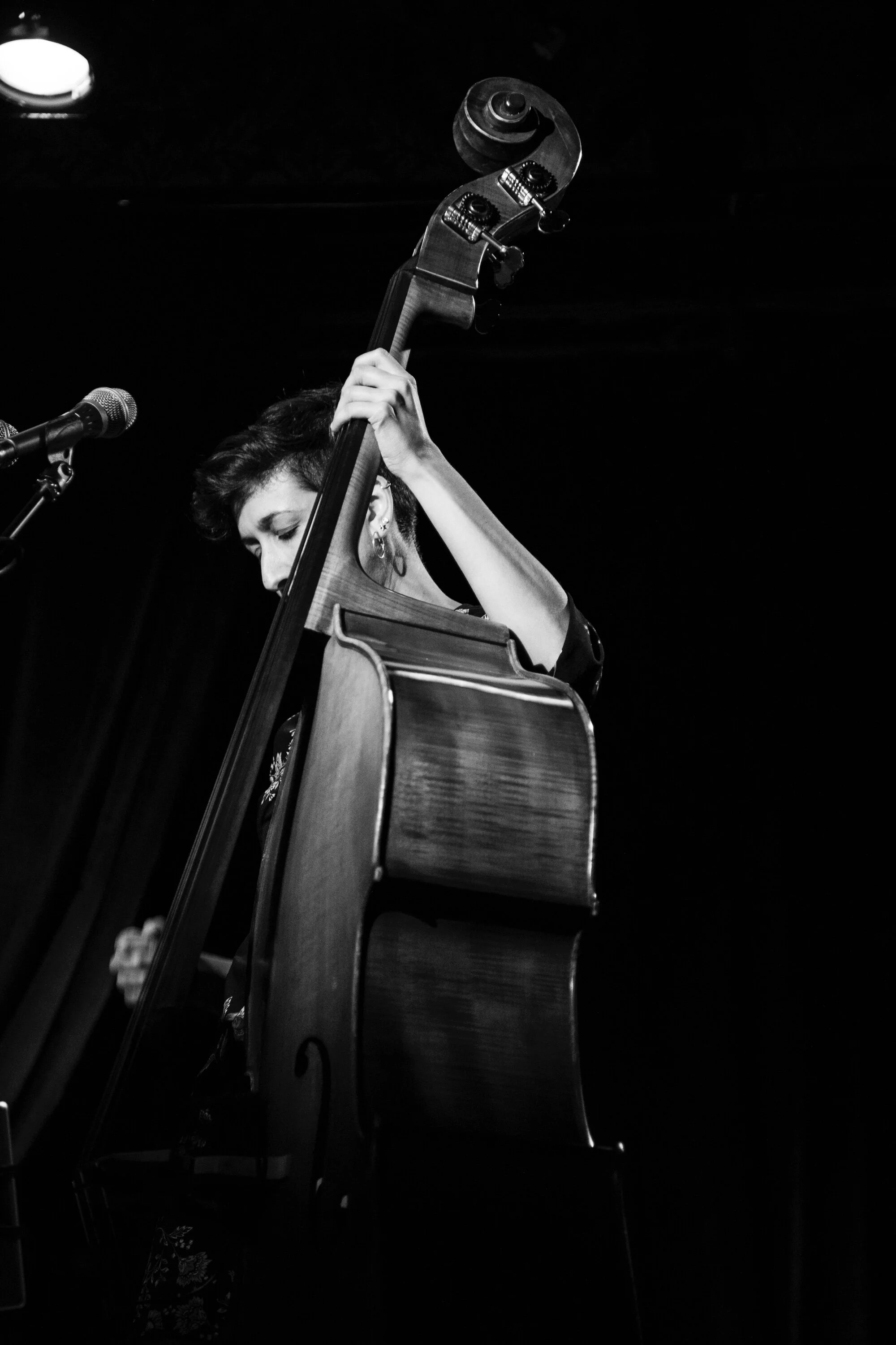 Hope is the thing with feathers Release concert