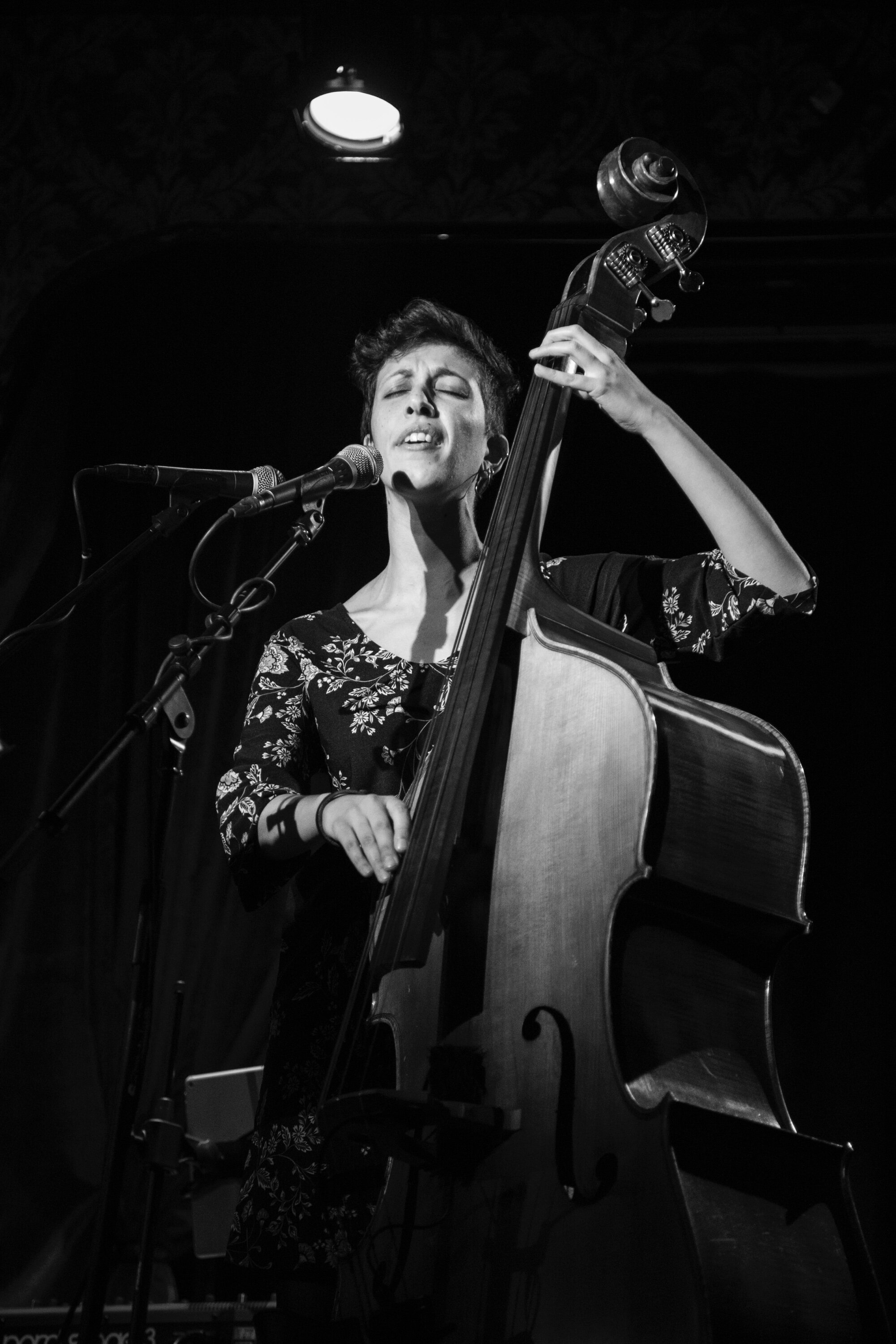 Hope is the thing with feathers Release concert