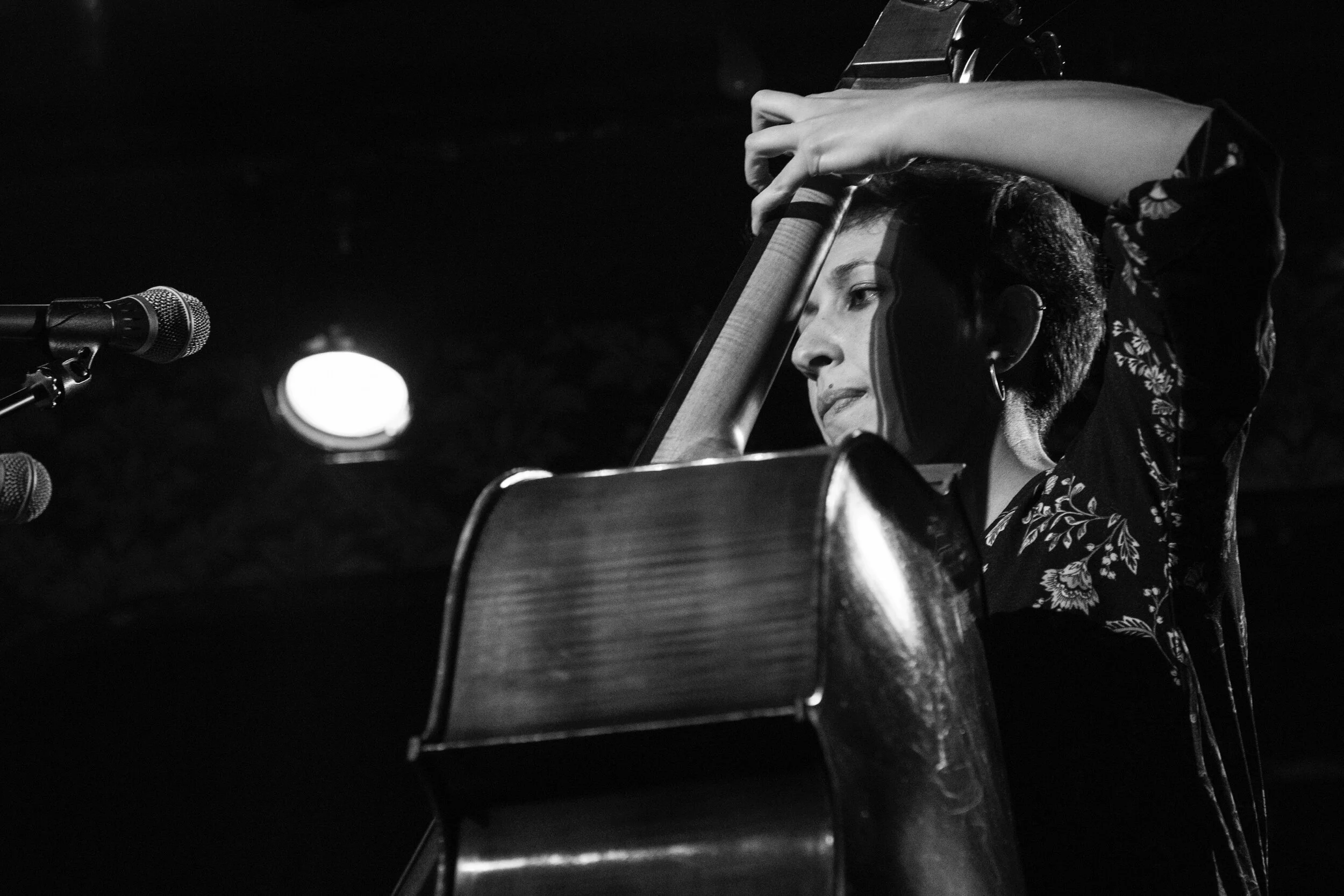 Hope is the thing with feathers Release concert