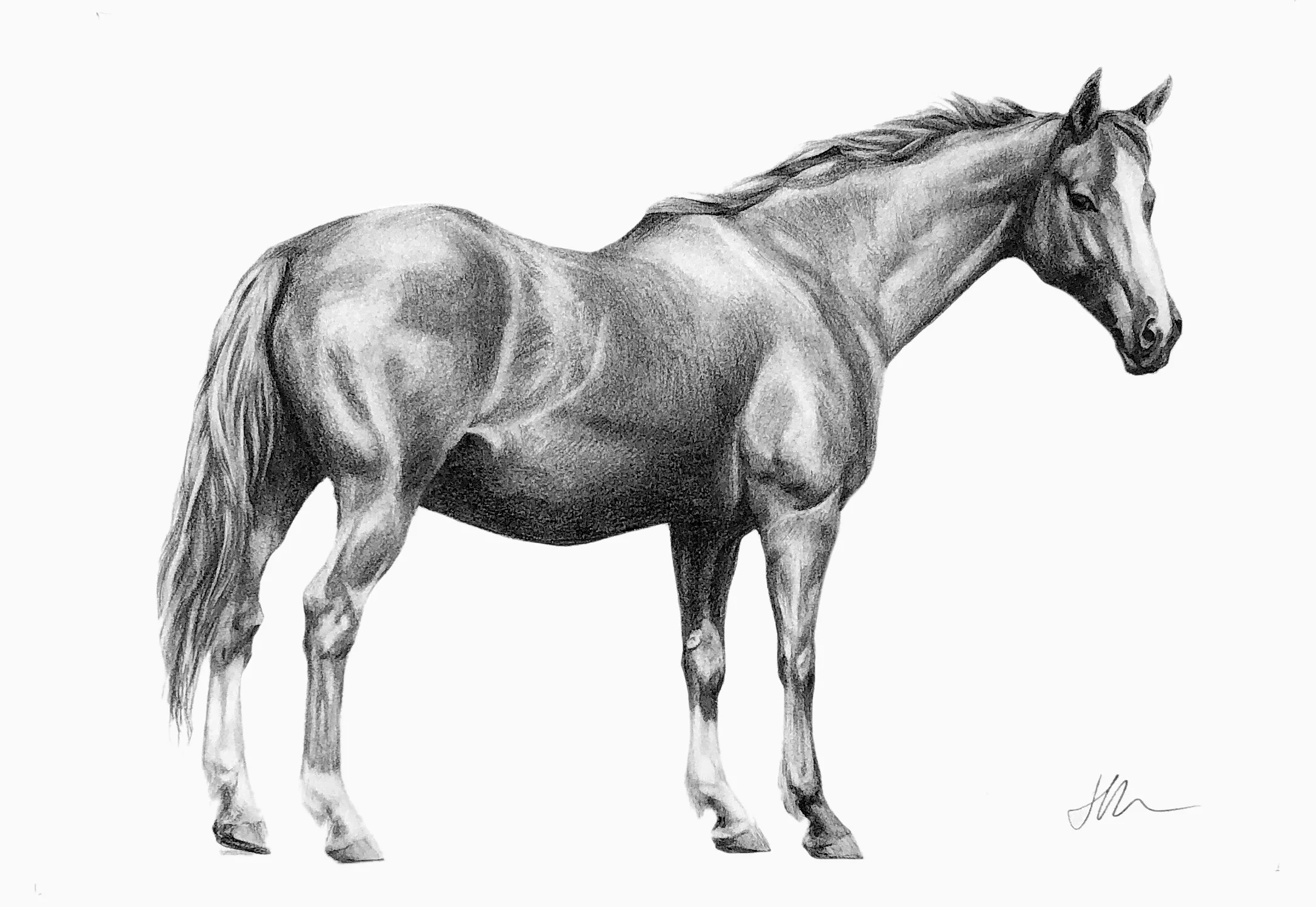 Portrait of Safe Journey
