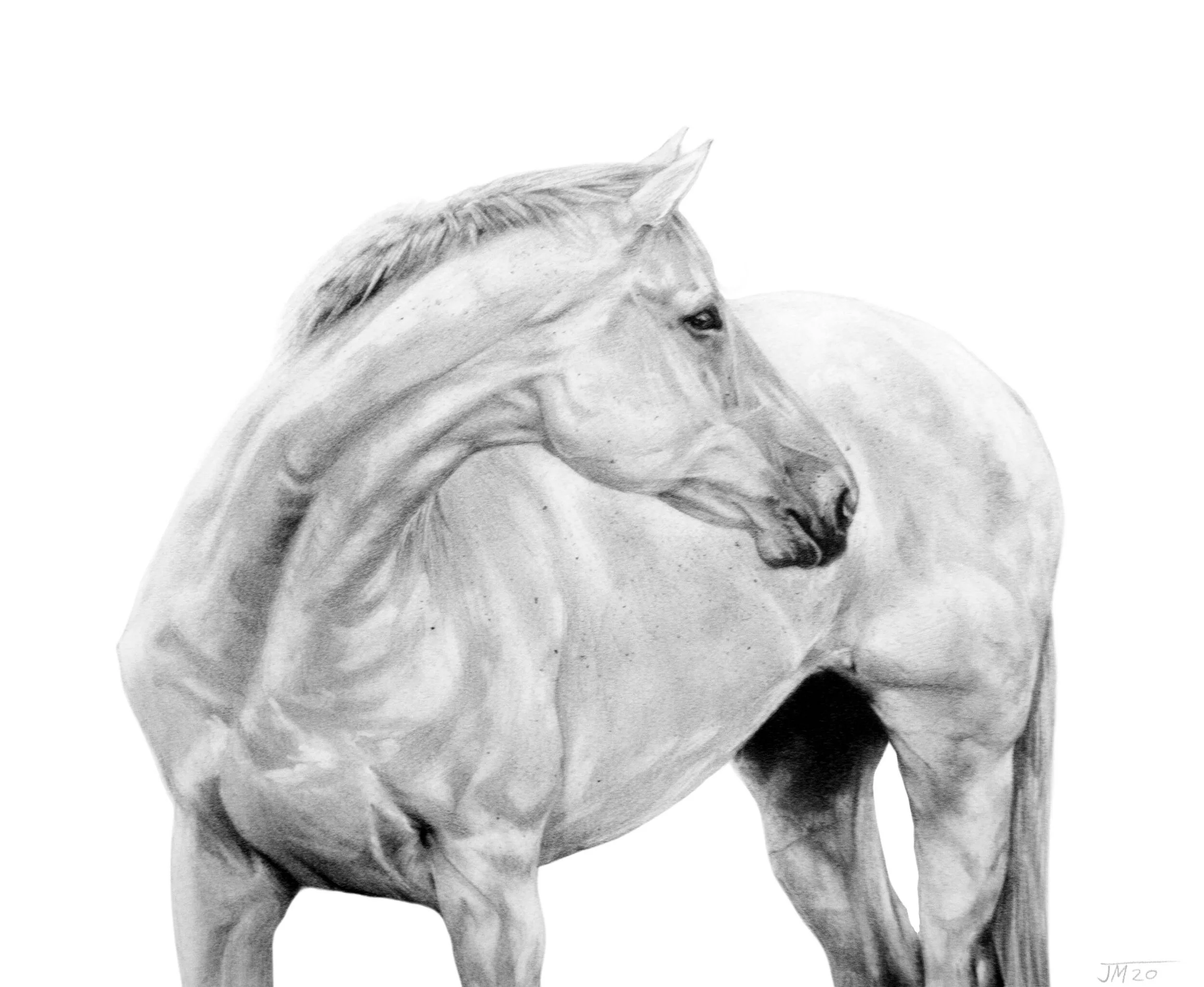 Portrait of Grey