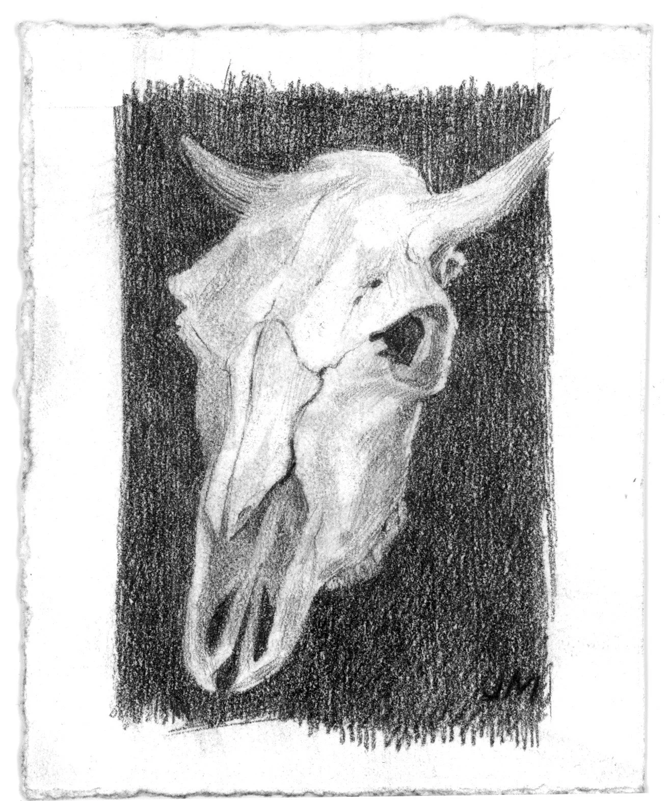 CowSkull.jpg