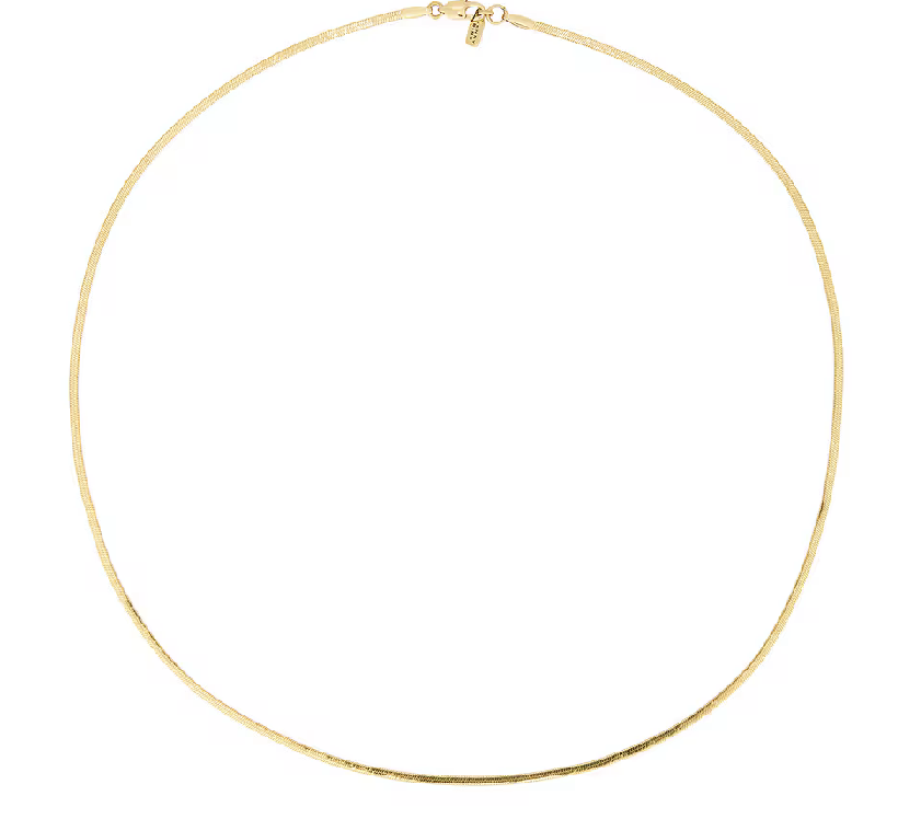 Screenshot 2026-01-31 at 12.28.41 PM.png