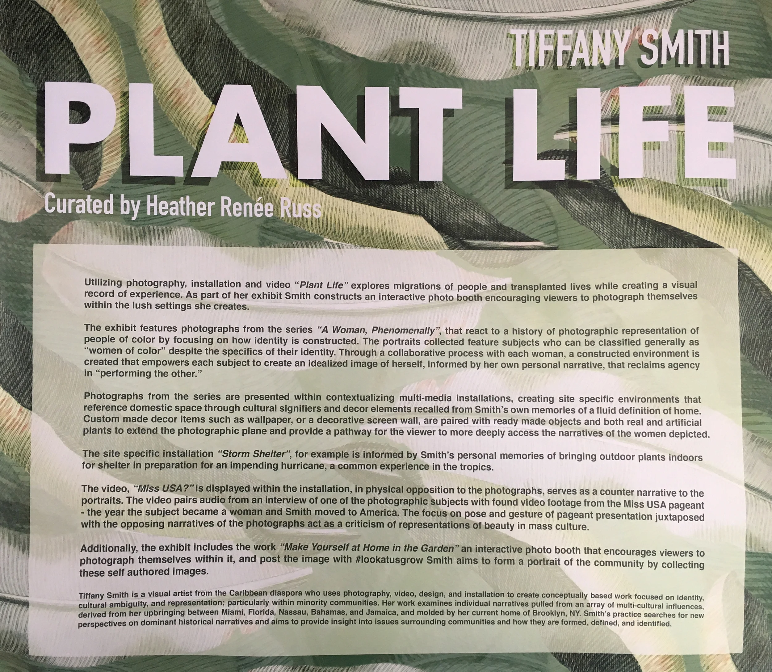 TiffanySmith_PlantLife_Curated_HeatherReneeRuss_SpaceCreate_02.JPG
