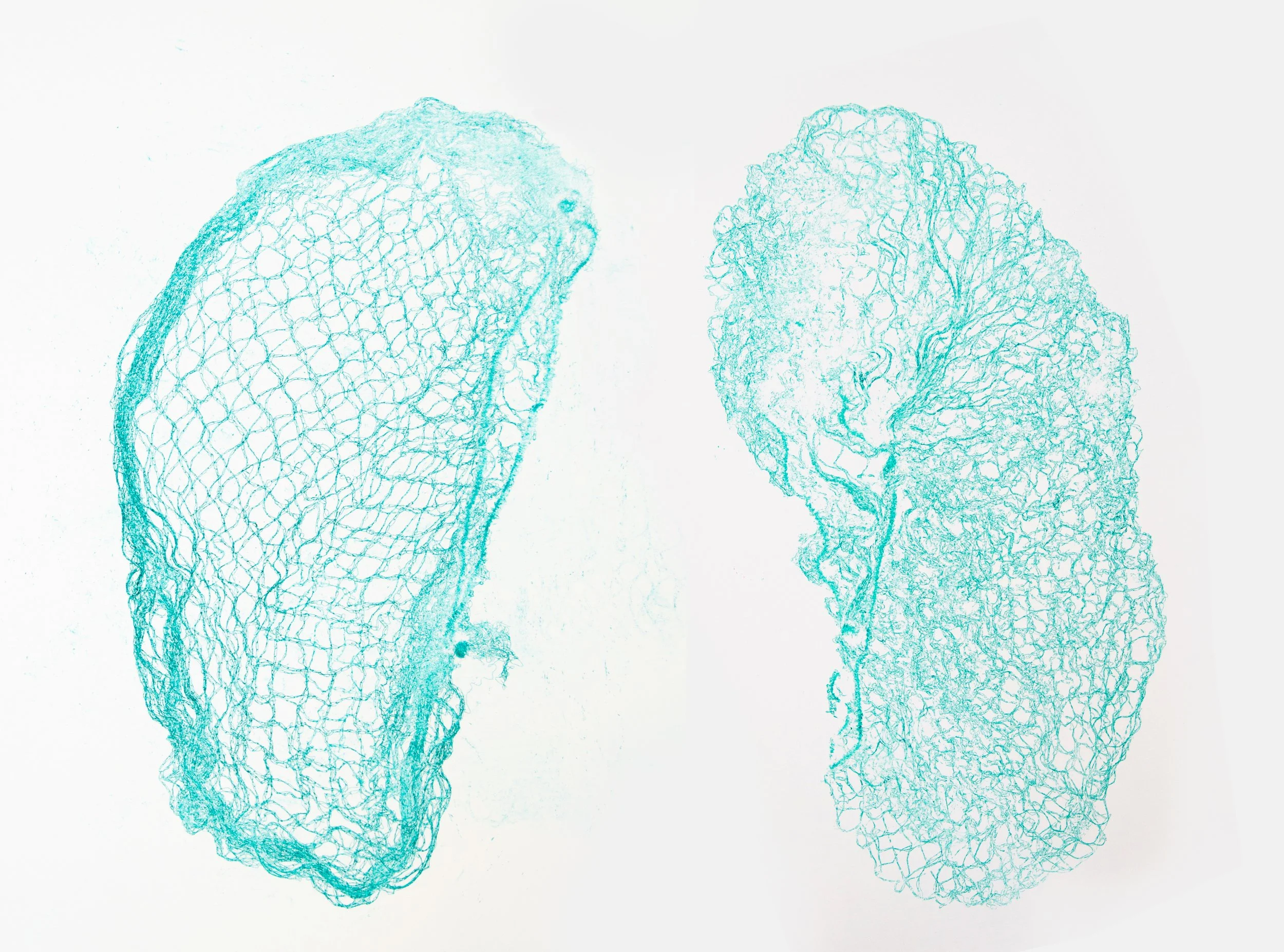 HeatherReneeRuss_LungLike_031.jpg