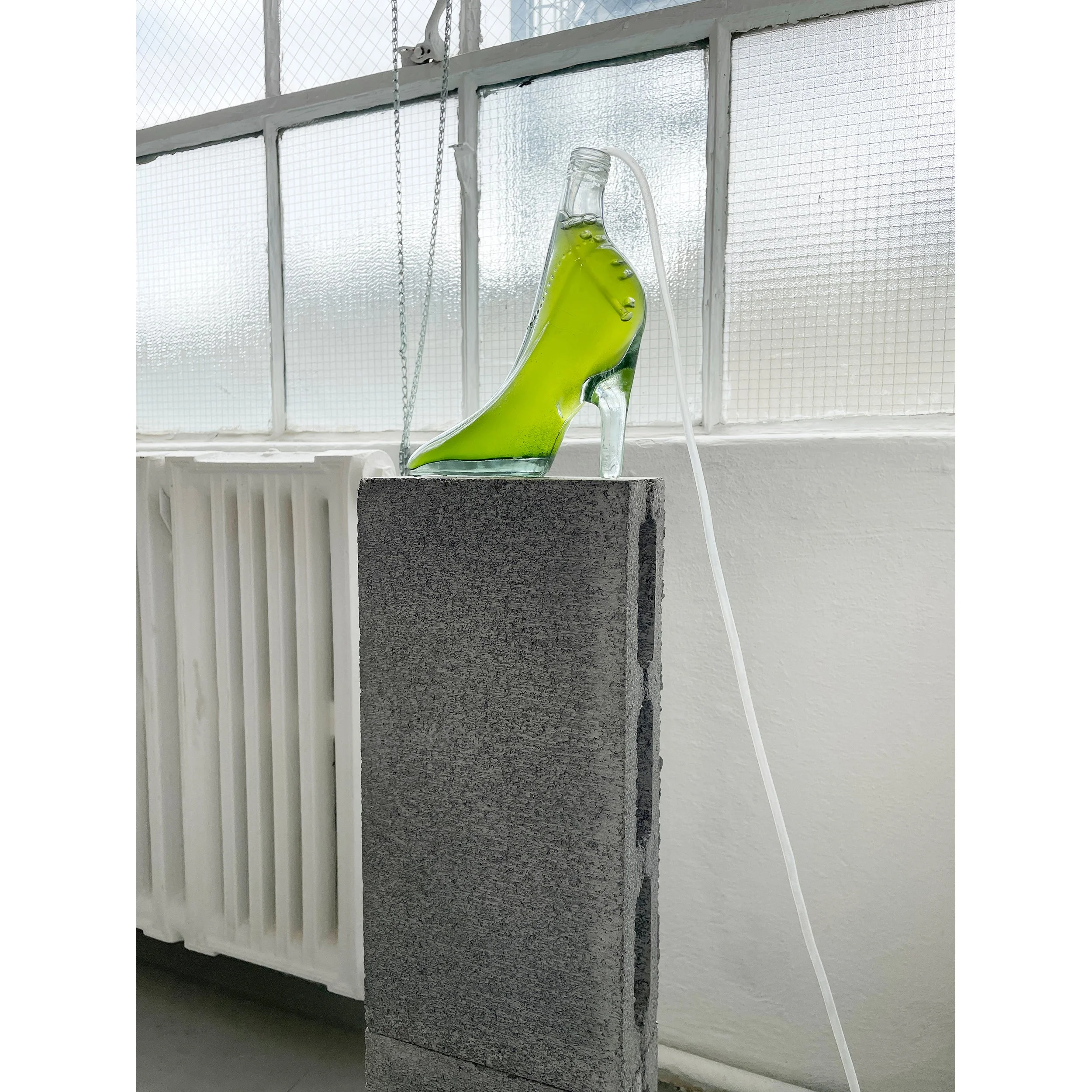  High Heel Algae Bioreactor, 2022 