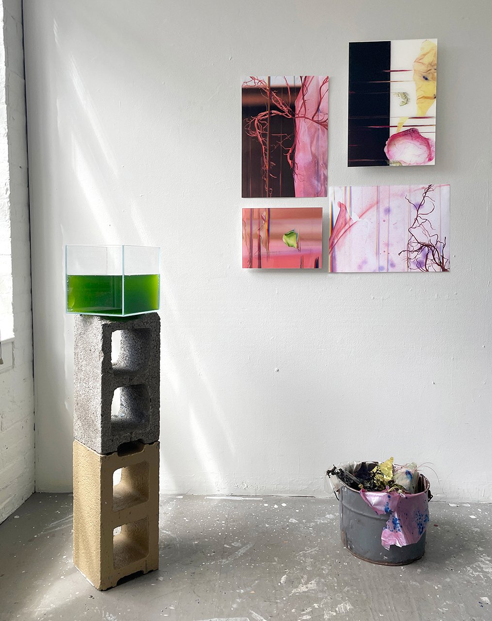 03_Heather_Renee_Russ_Algae_Installation.jpg
