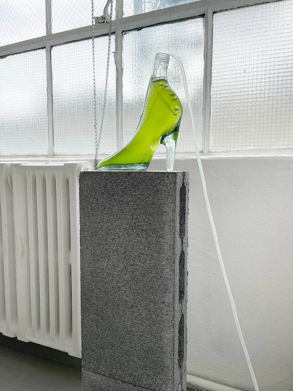 04_Heather_Renee_Russ_HighHeel_Algae_Bioreactor.JPG