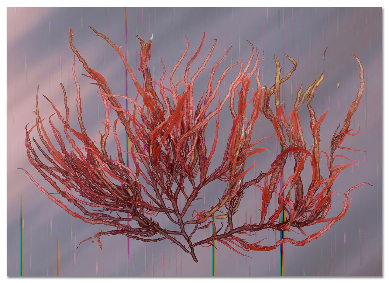 Viscera, 33 x 46 inches, 2025
