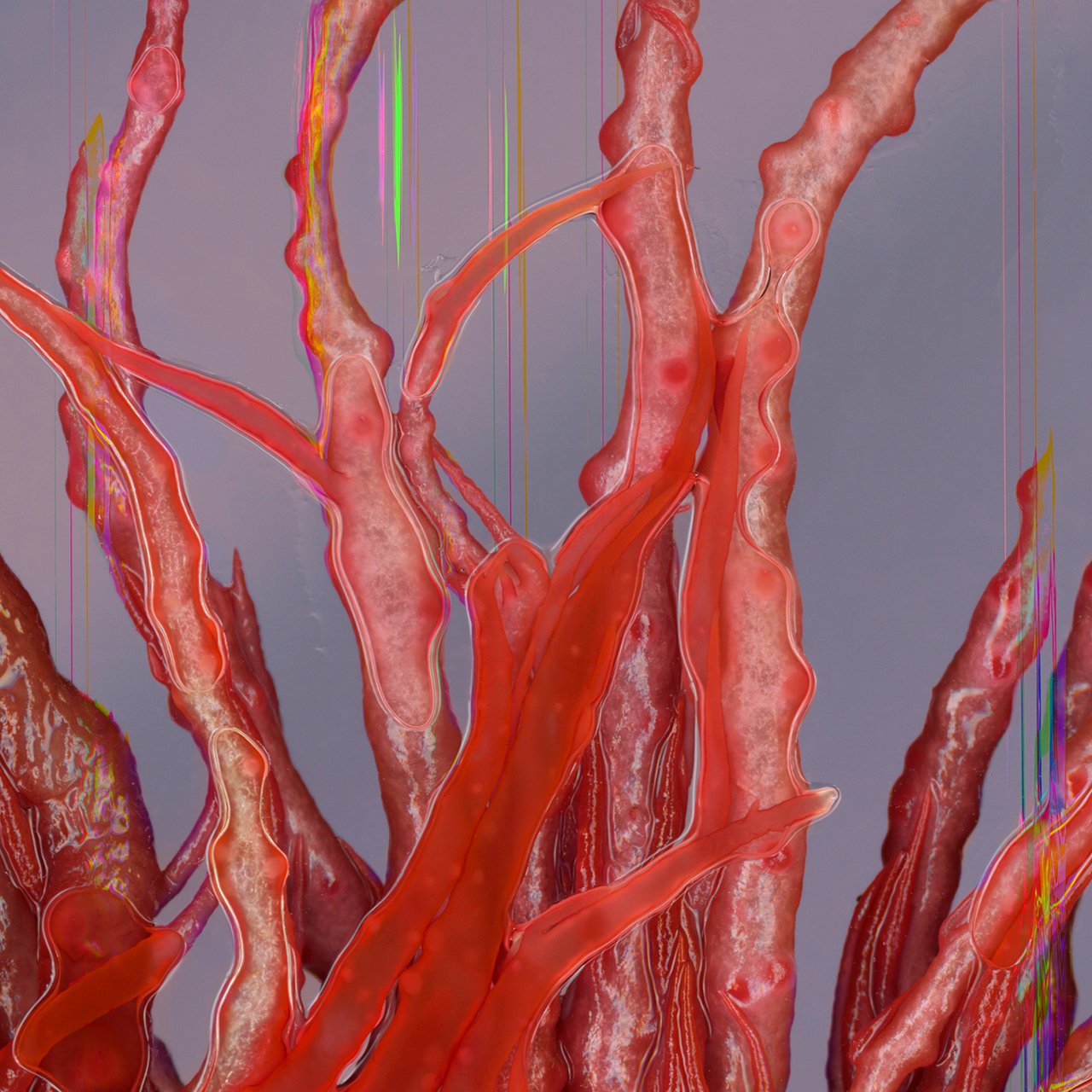 Viscera (detail)