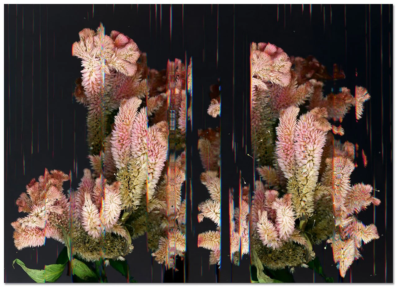 Anodyne (I) , 33 x 46 inches, 2025