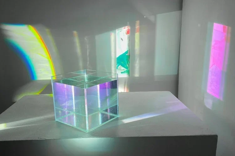 Grief Remediations with Algae and Make Up CHaNorth Studio 