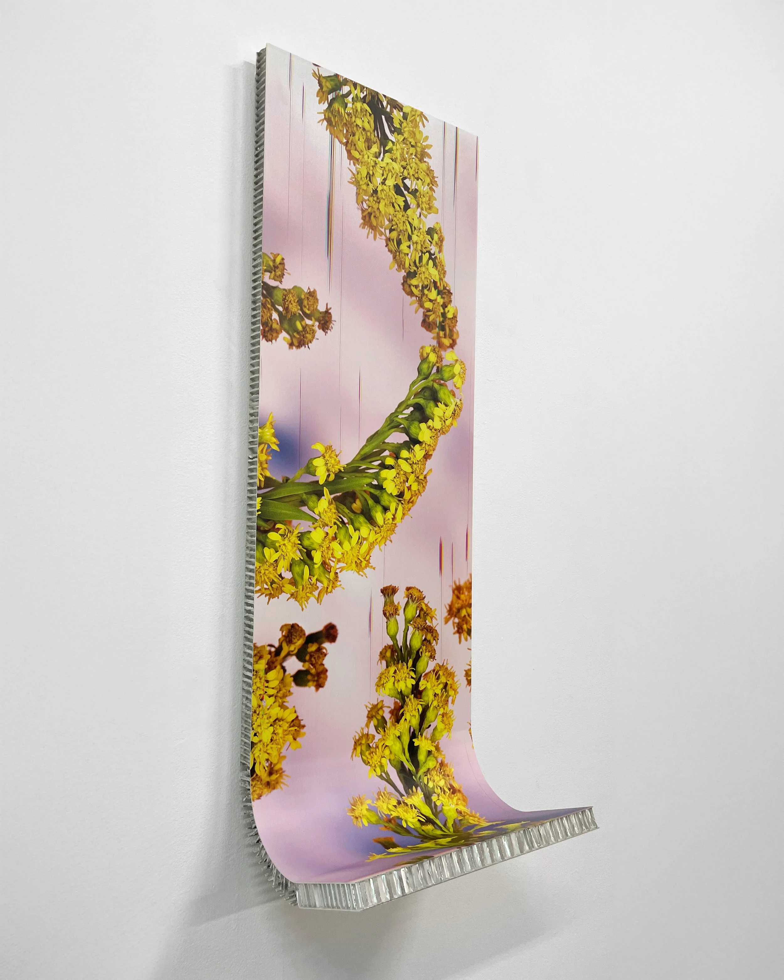 Tender Arc, Bracing, 2026, 15 x 45"