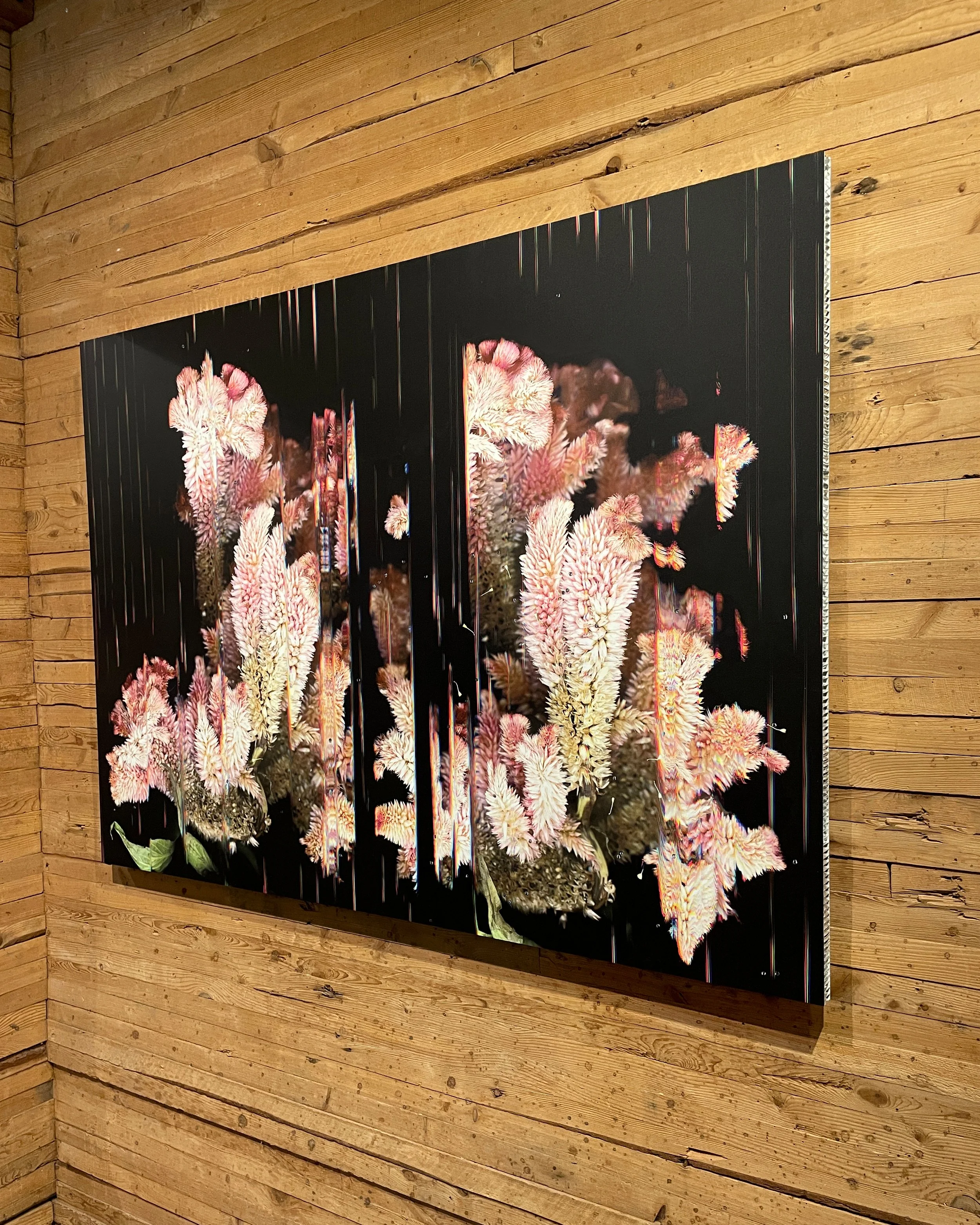 Anodyne, at Wassaic Project 2026 in Because, Now is the Time of Monsters, 2025, 41 x 57"
