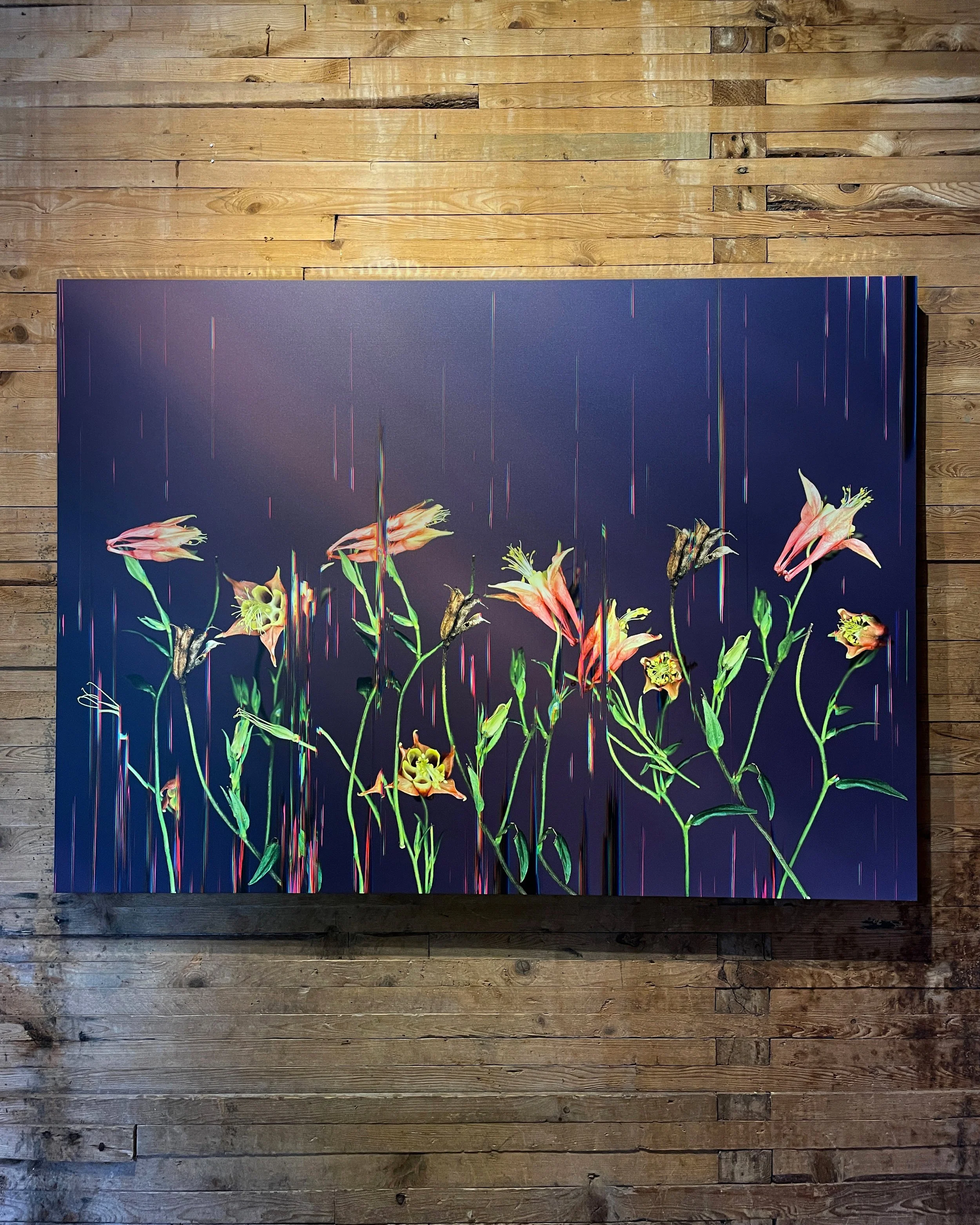 Columbine Reverb, at Wassaic Project 2026 in Because, Now is the Time of Monsters, 2024, 41 x 57"