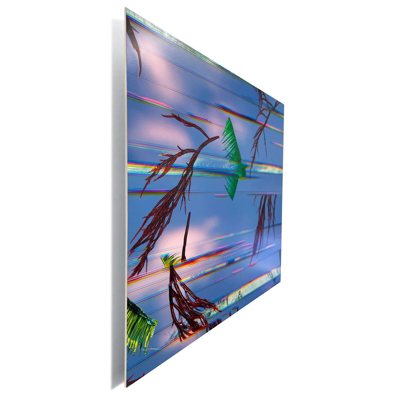 Gay Tidal Wave (side view)