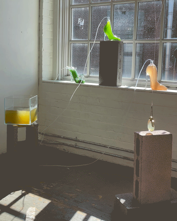 10_HeatherReneeRuss_AlgaeBioreactorInstall_StudiosatMASSMoCA-2.gif