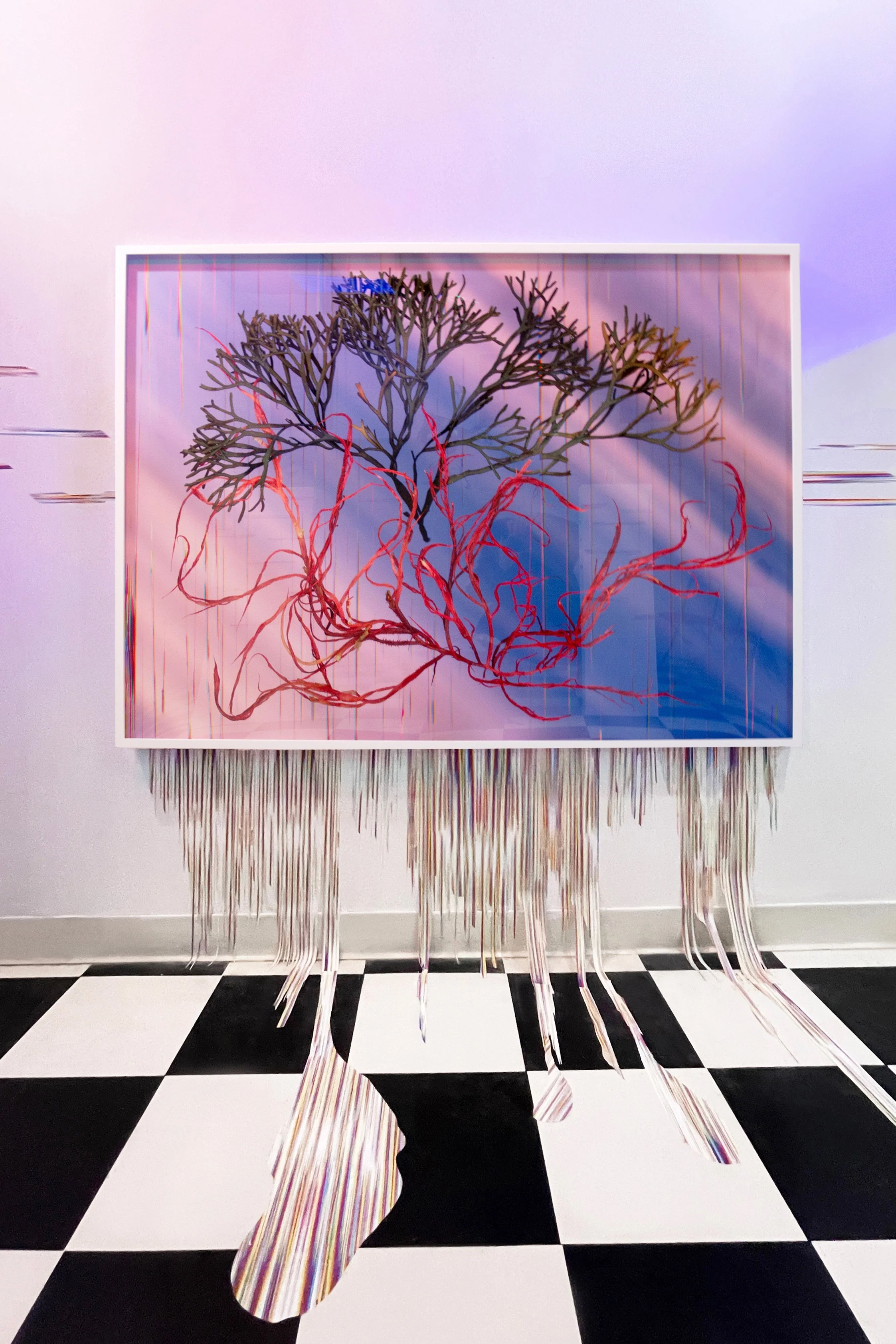 Emergent, 2023, 41 x 57 inches (installed at Spring/Break Art Show)